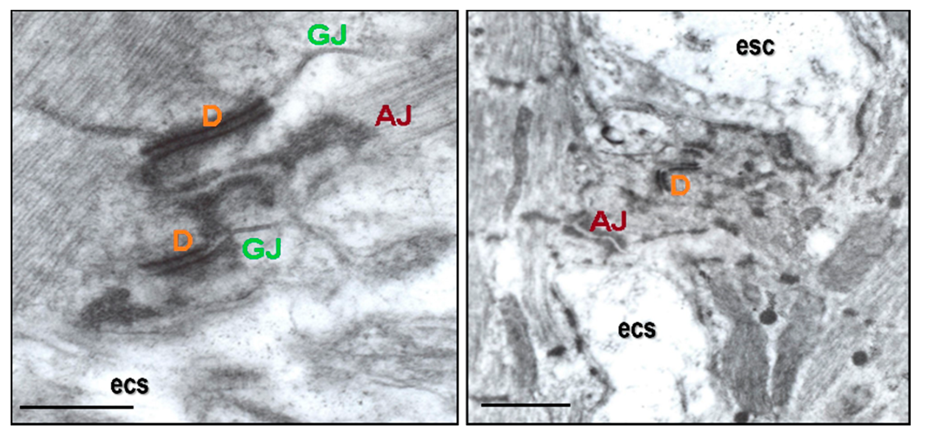 Biomolecules 13 00330 g002 Biomolecules 13 00330 g002