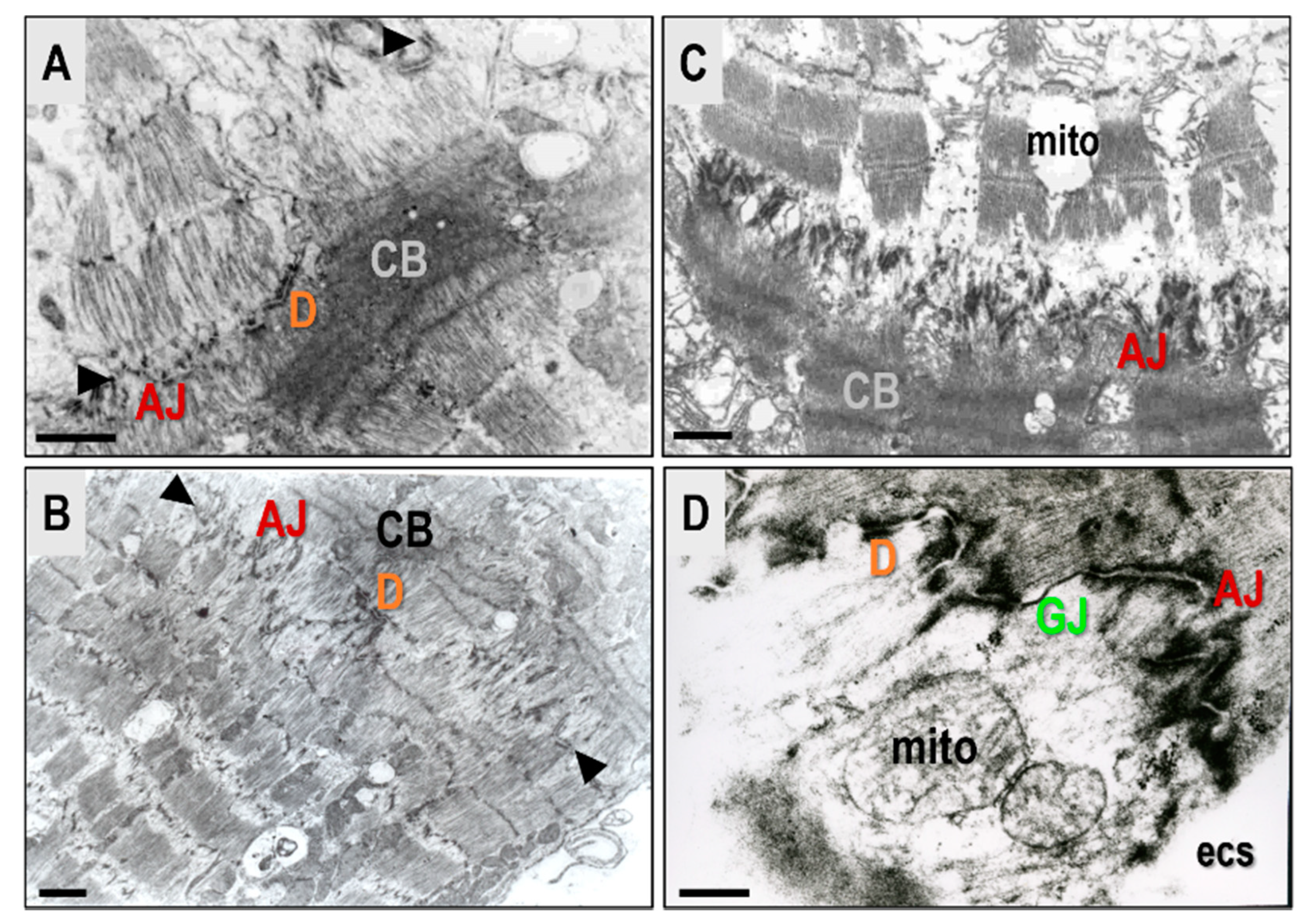 Biomolecules 13 00330 g004 Biomolecules 13 00330 g004
