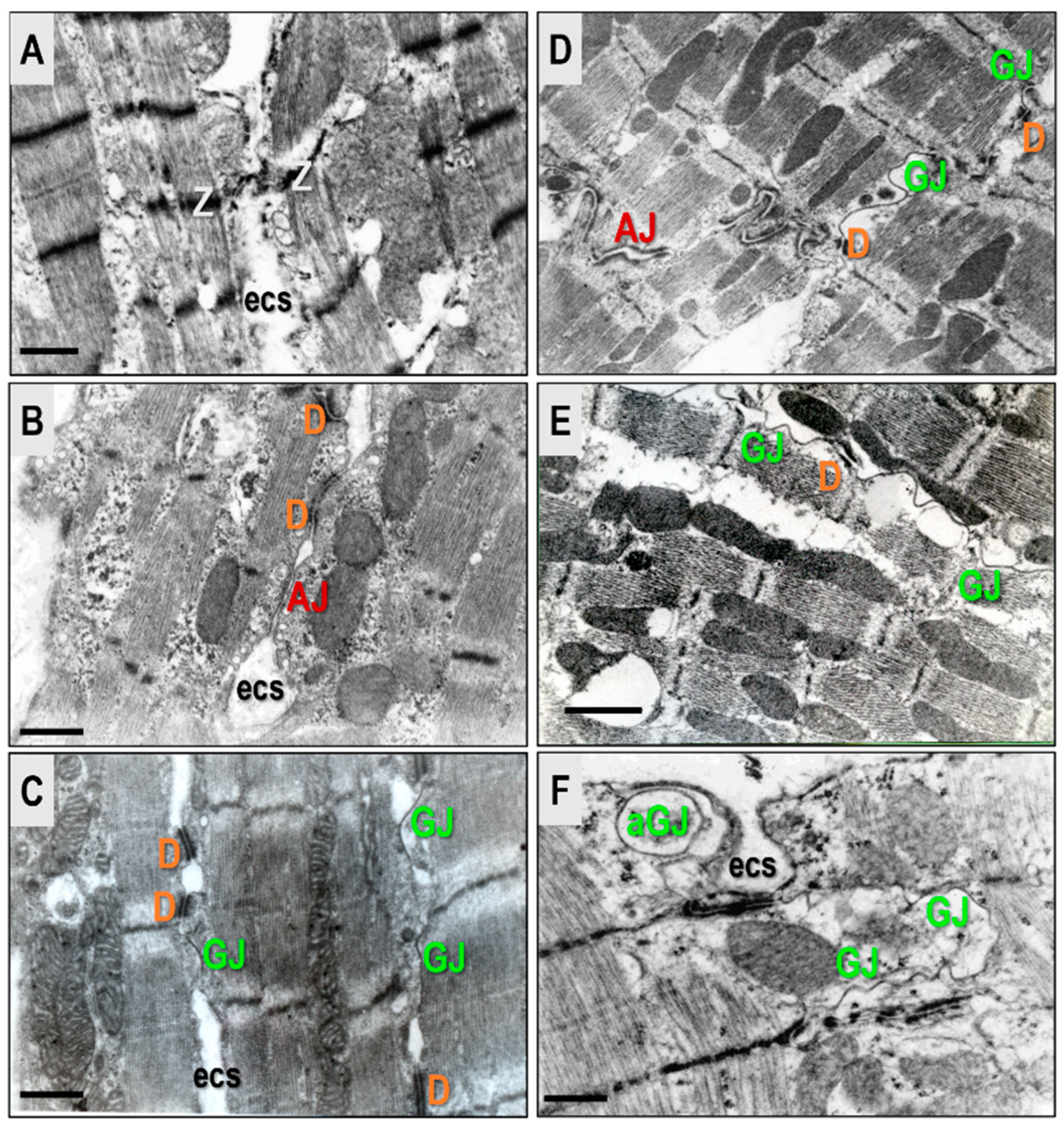 Biomolecules 13 00330 g005 Biomolecules 13 00330 g005