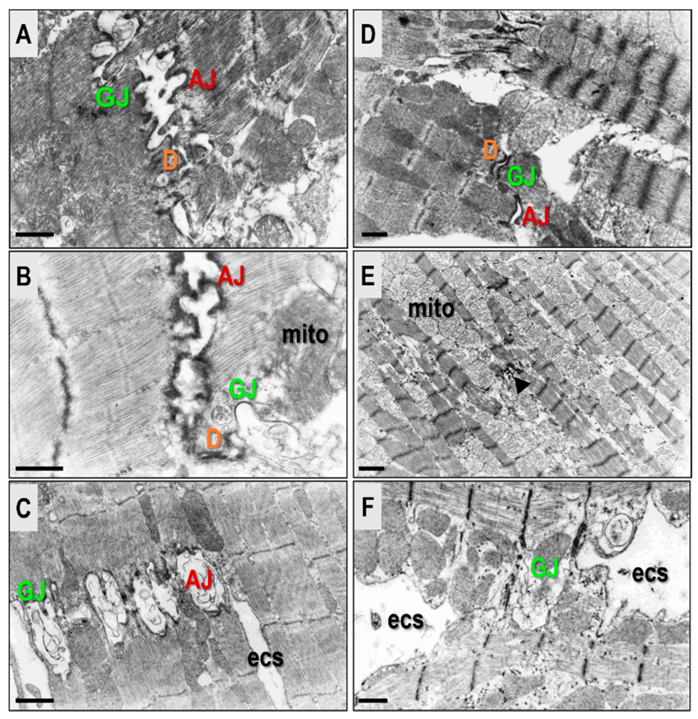 Biomolecules 13 00330 g006 Biomolecules 13 00330 g006
