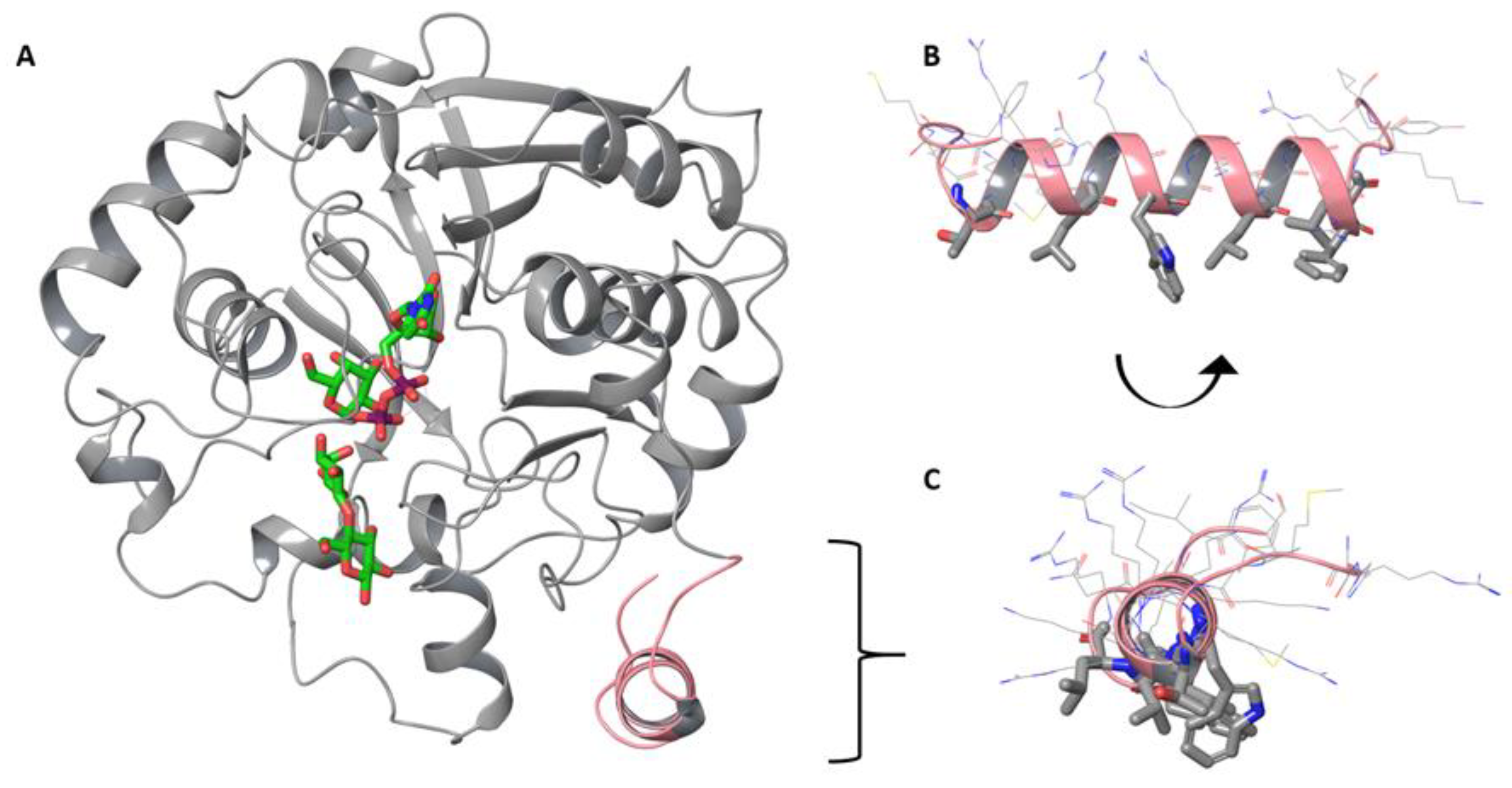 Biomolecules 13 00335 g0a1
