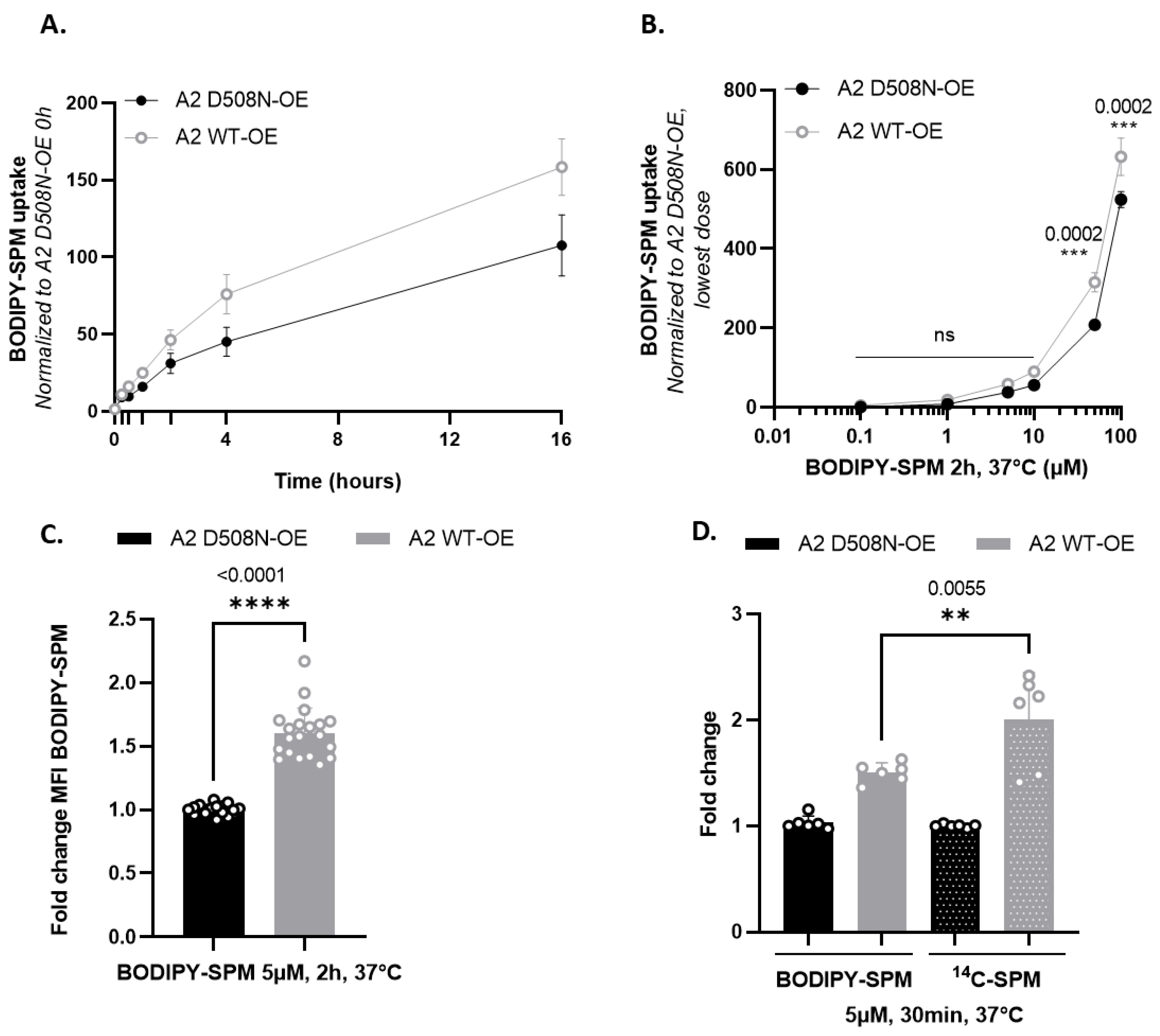 Biomolecules 13 00337 g002 Biomolecules 13 00337 g002