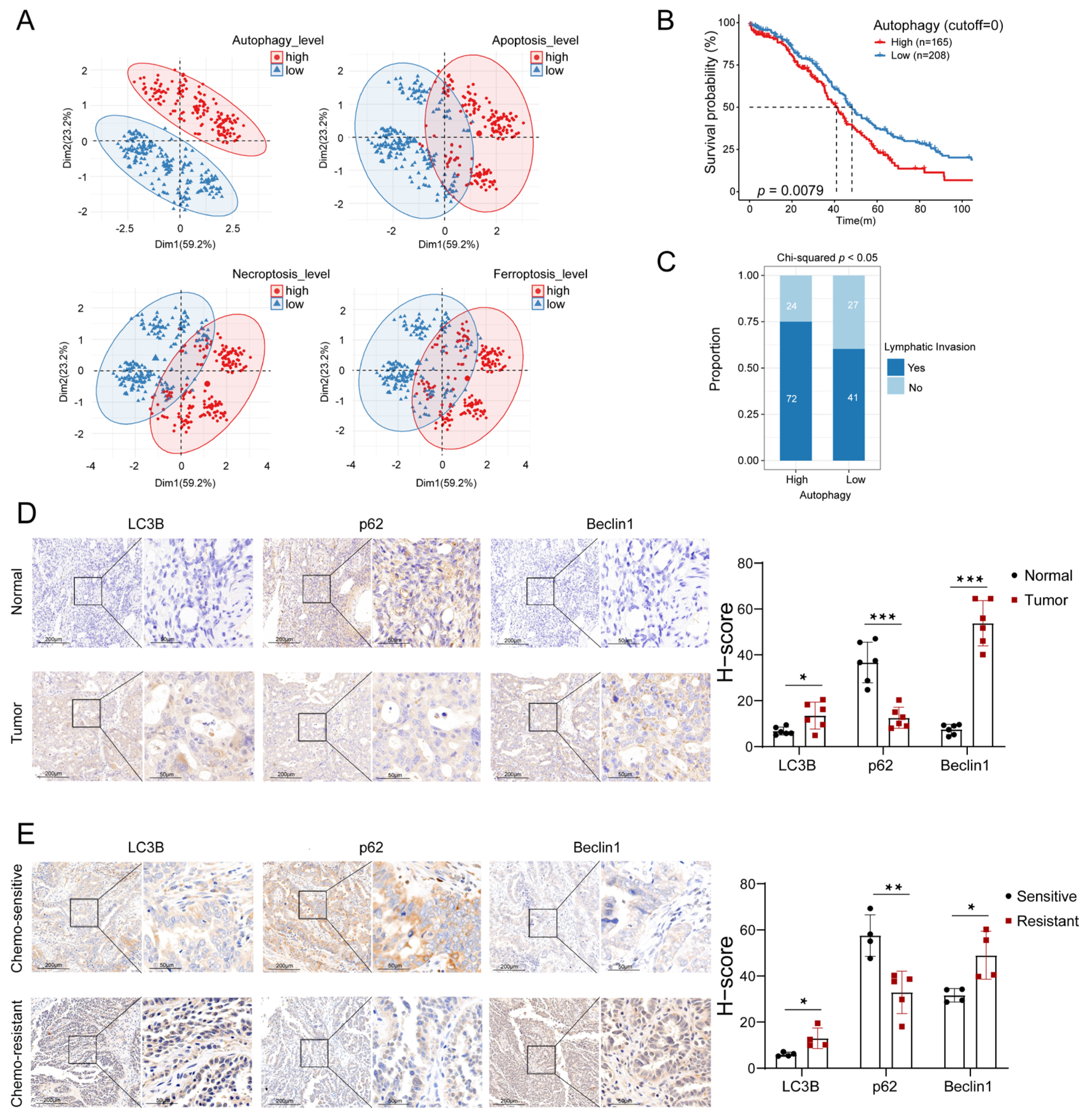 Biomolecules 13 00339 g001 Biomolecules 13 00339 g001
