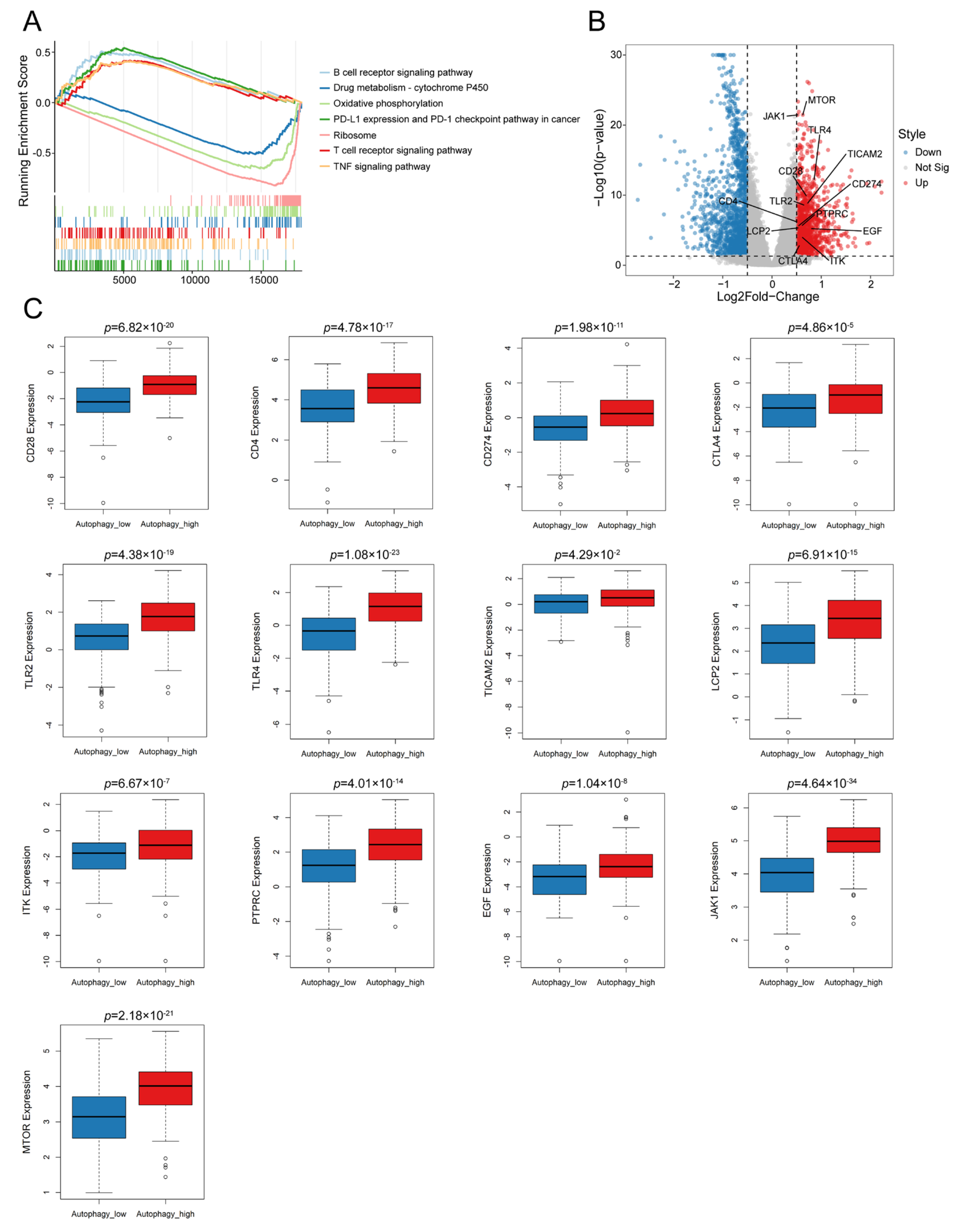 Biomolecules 13 00339 g002 Biomolecules 13 00339 g002