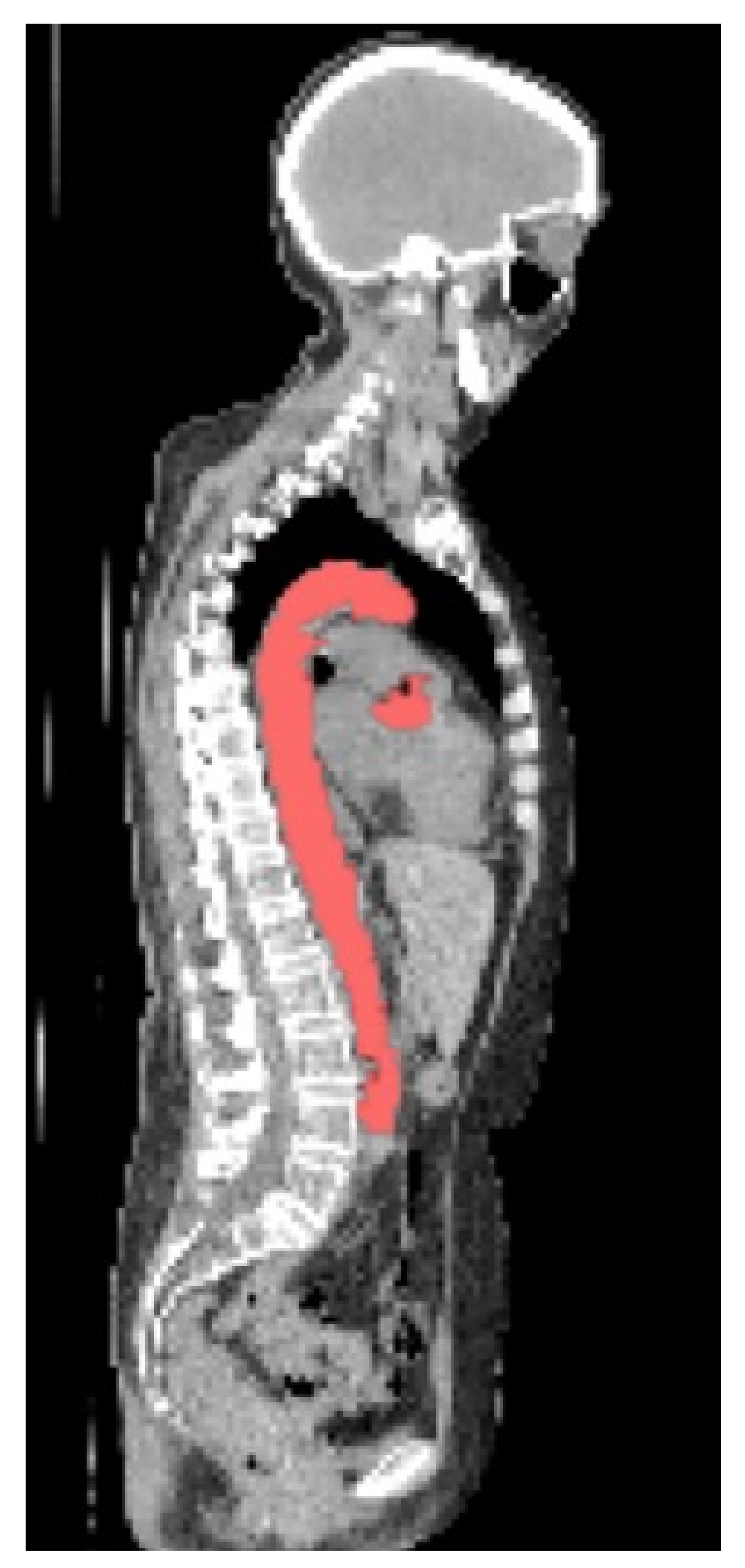 Biomolecules 13 00343 g004 Biomolecules 13 00343 g004