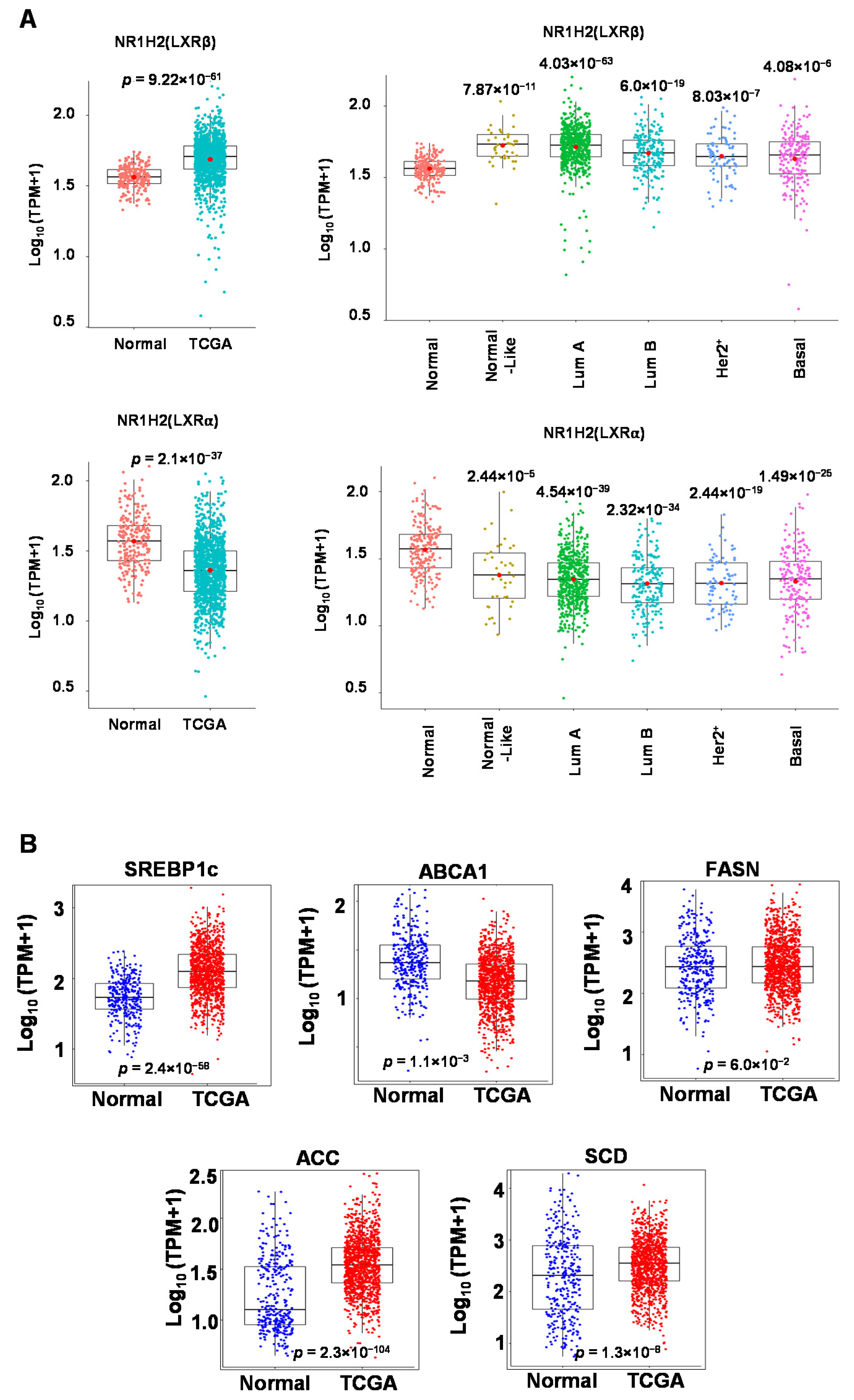 Biomolecules 13 00345 g001