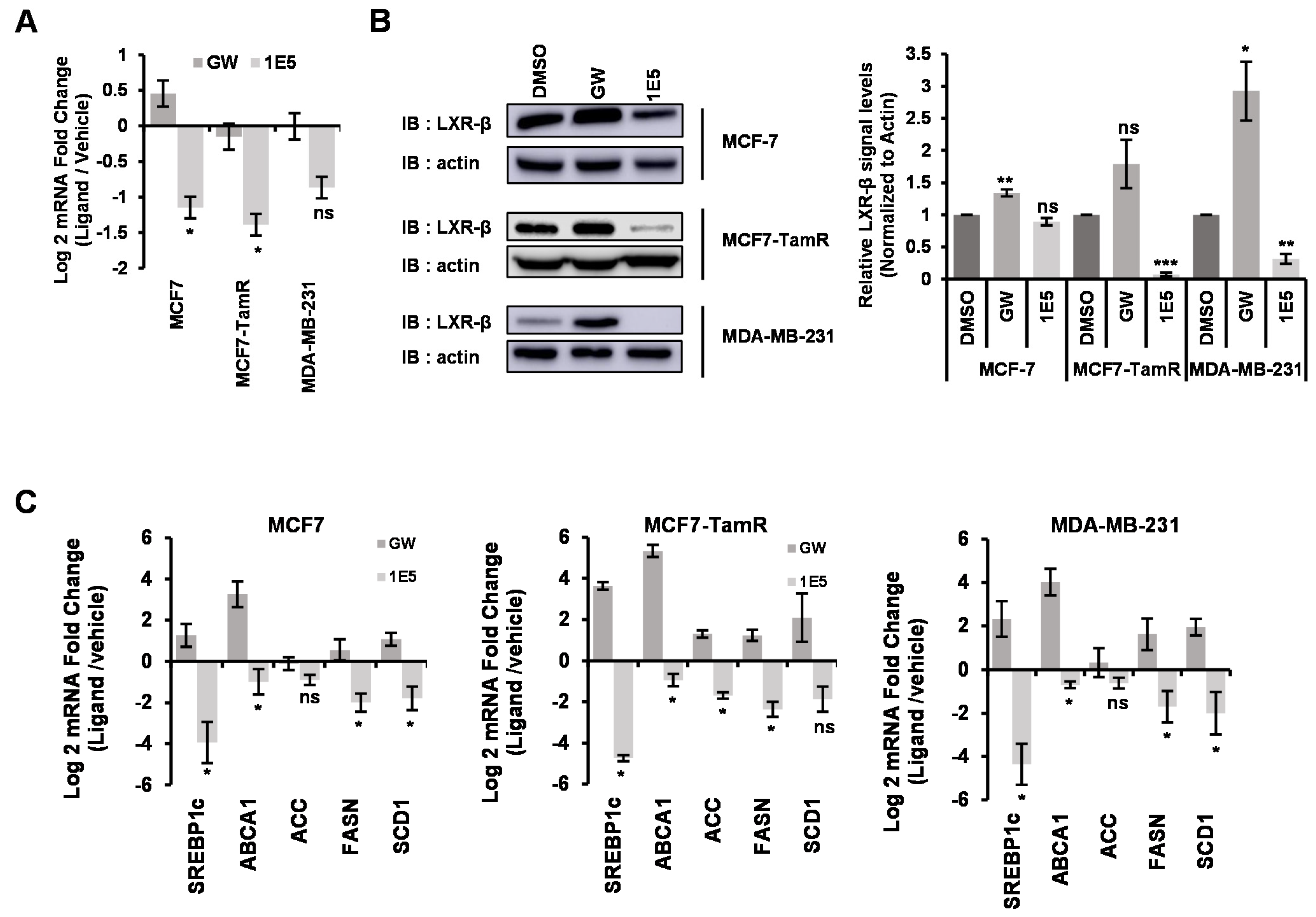 Biomolecules 13 00345 g003