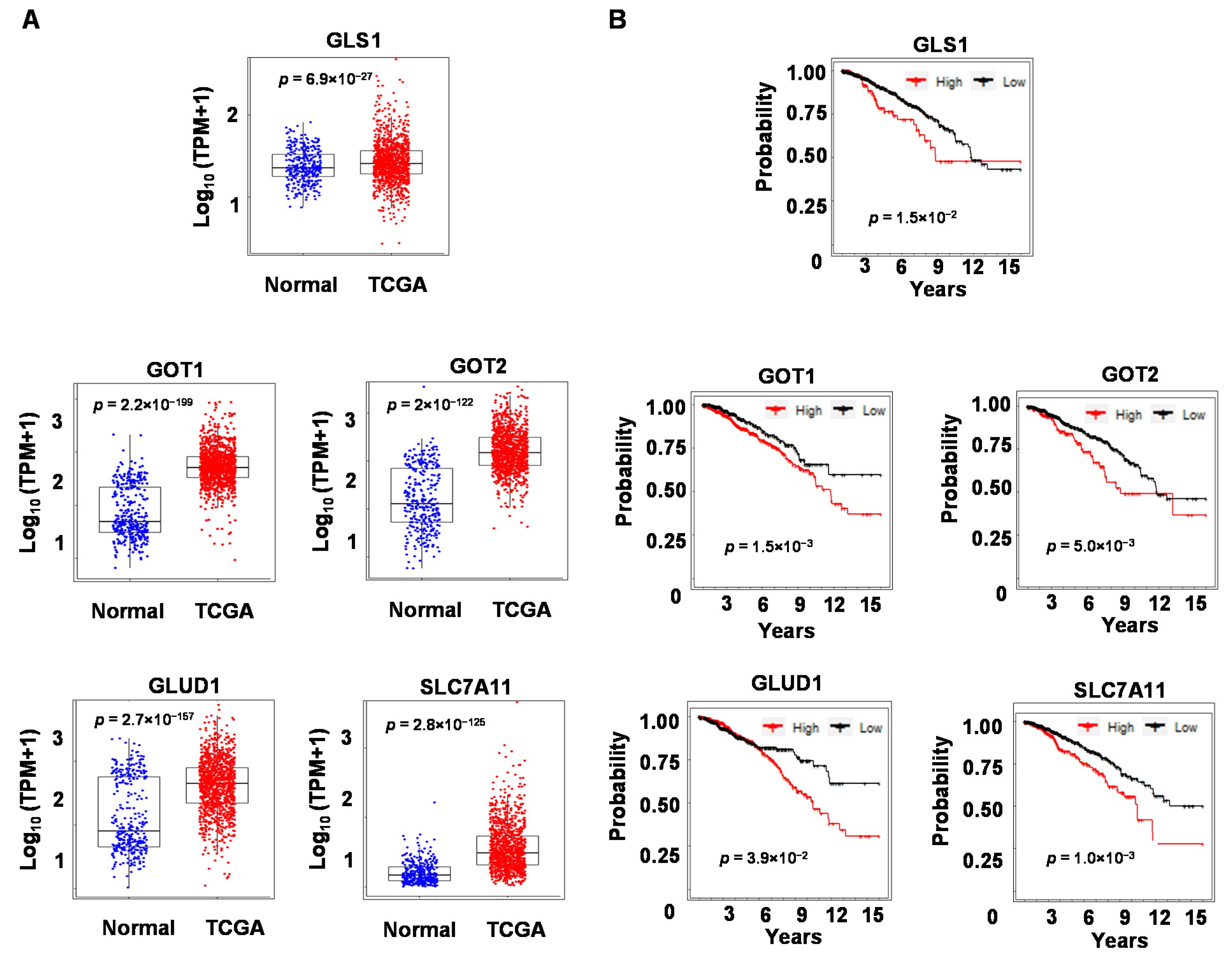 Biomolecules 13 00345 g006