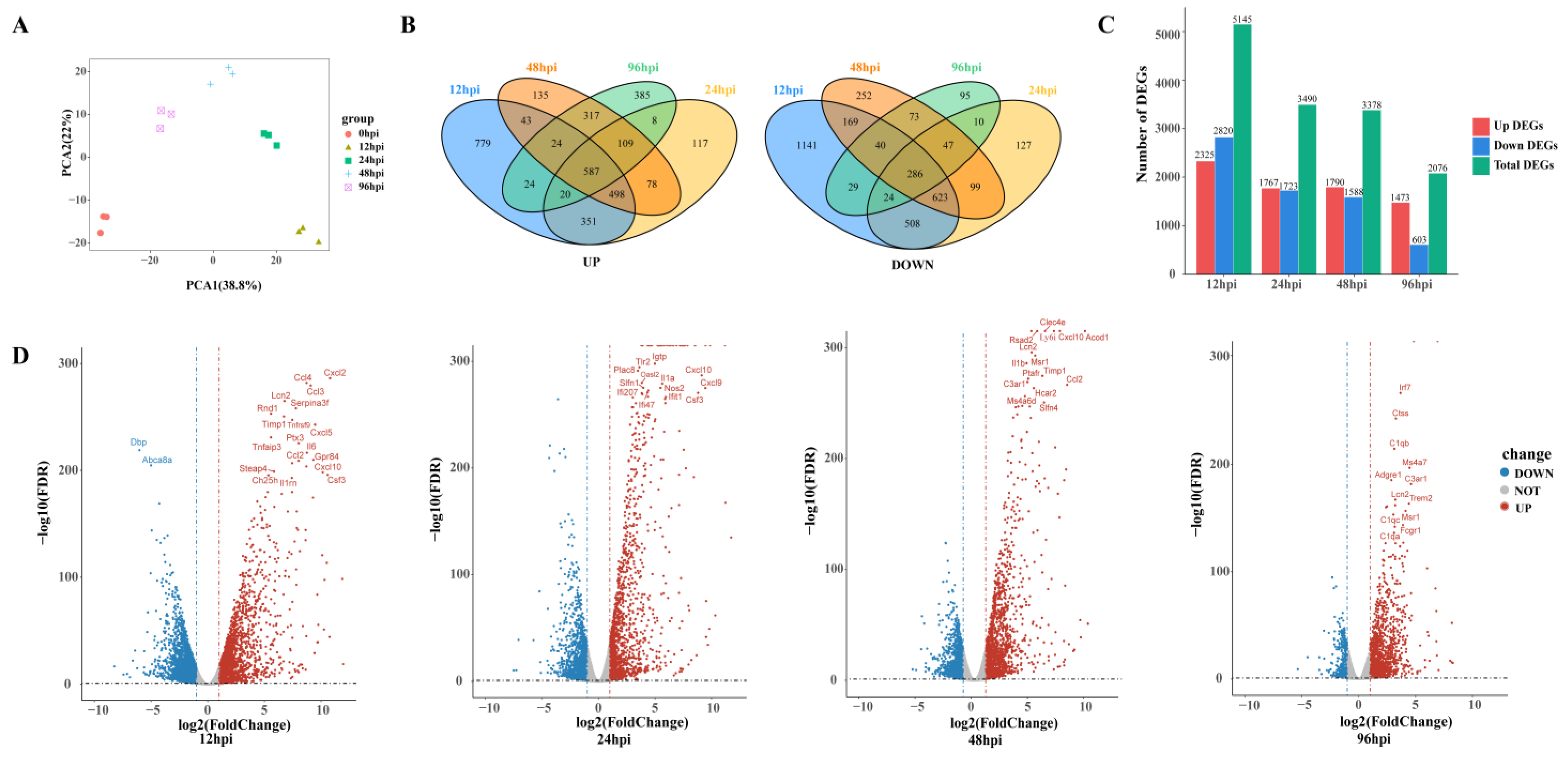 Biomolecules 13 00347 g002