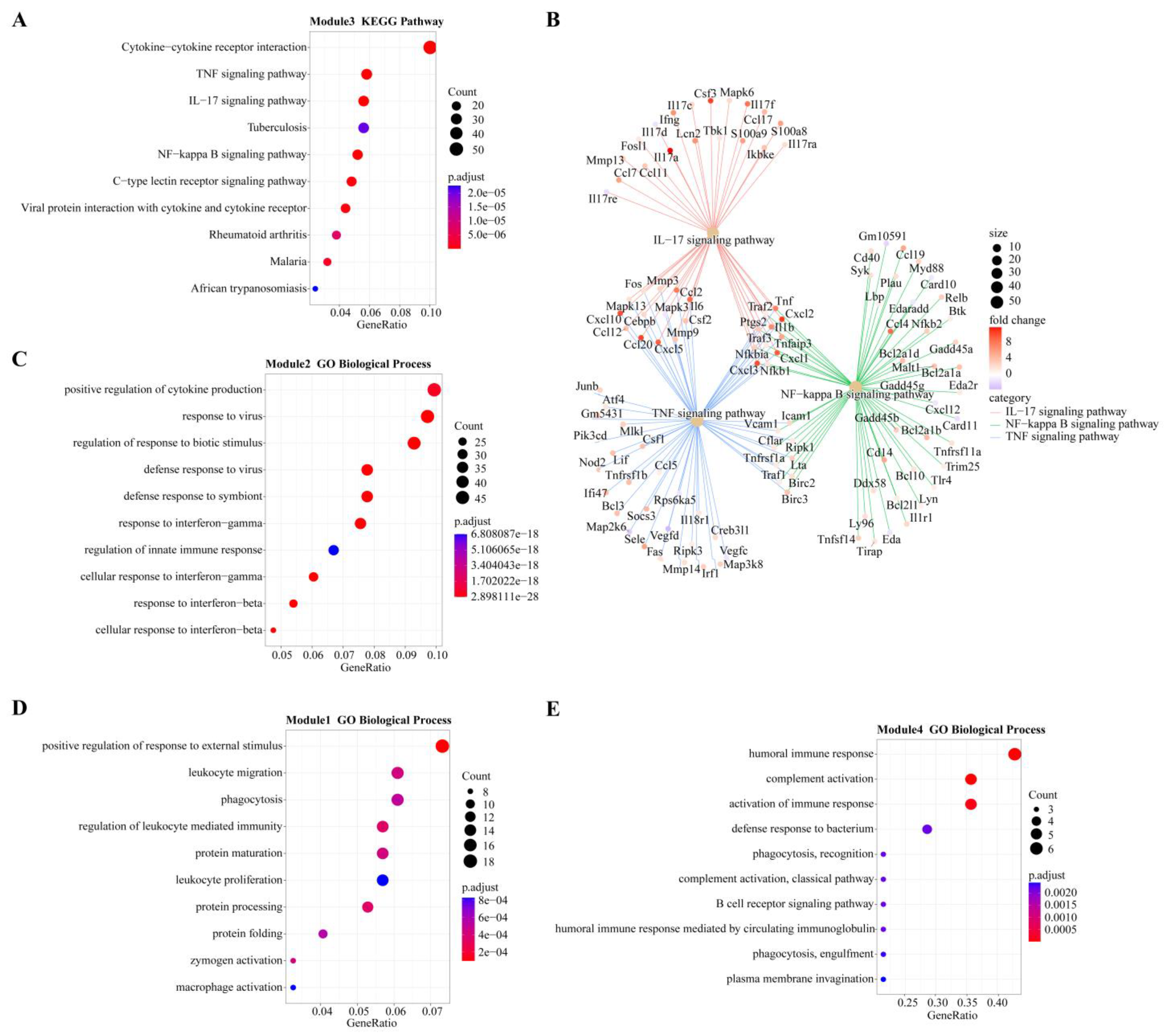 Biomolecules 13 00347 g005