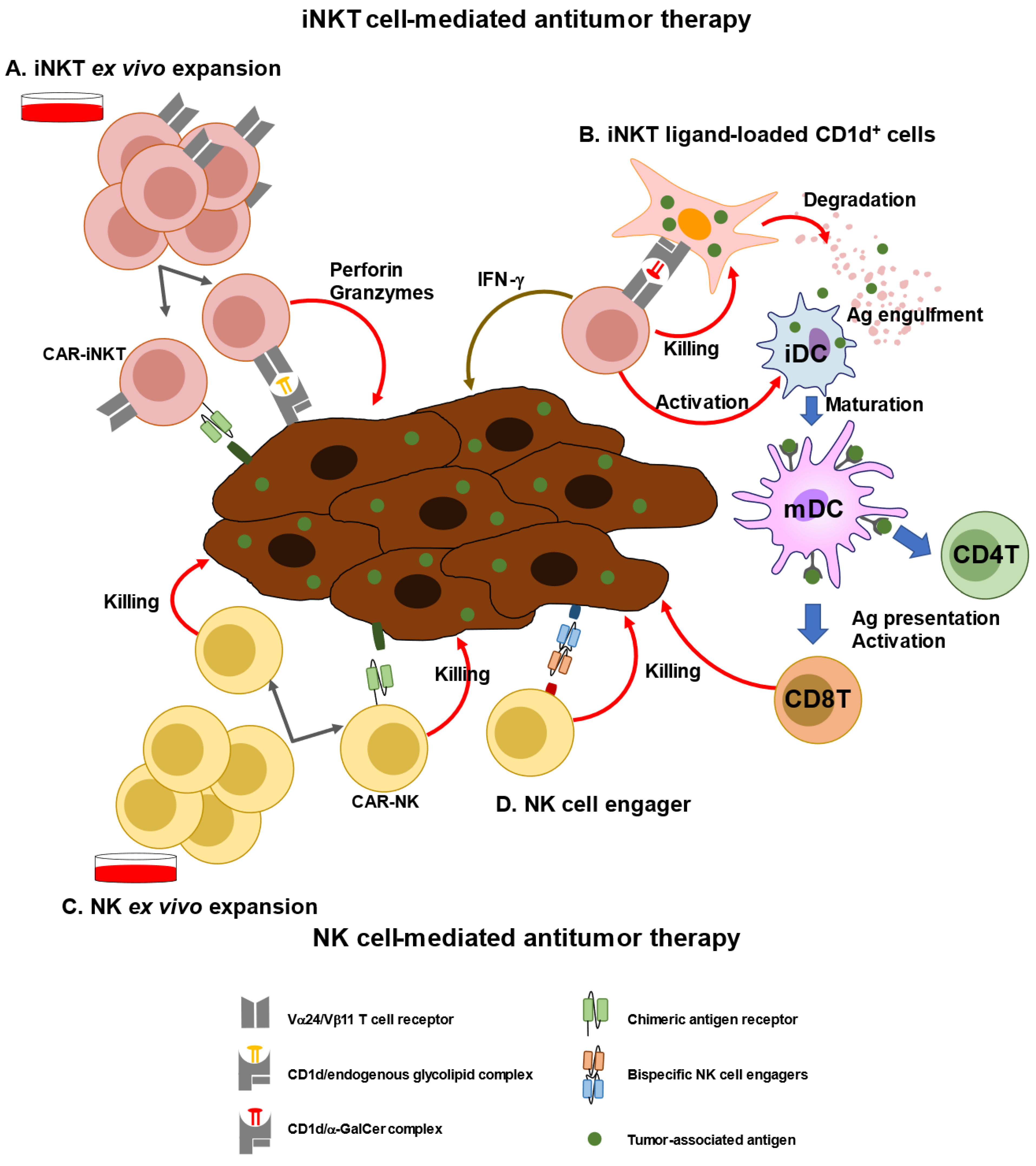 Biomolecules 13 00348 g002 Biomolecules 13 00348 g002