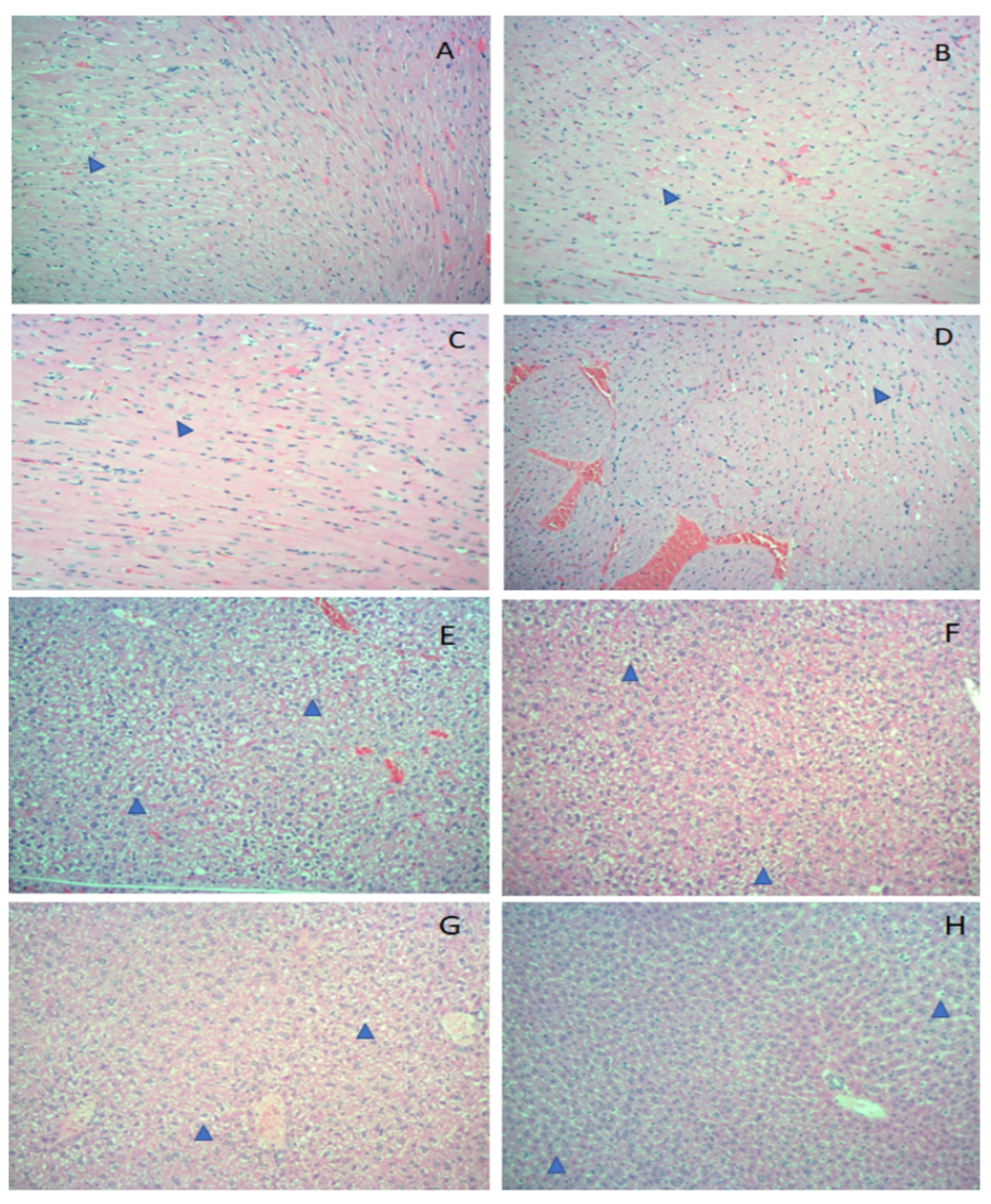 Biomolecules 13 00349 g002 Biomolecules 13 00349 g002