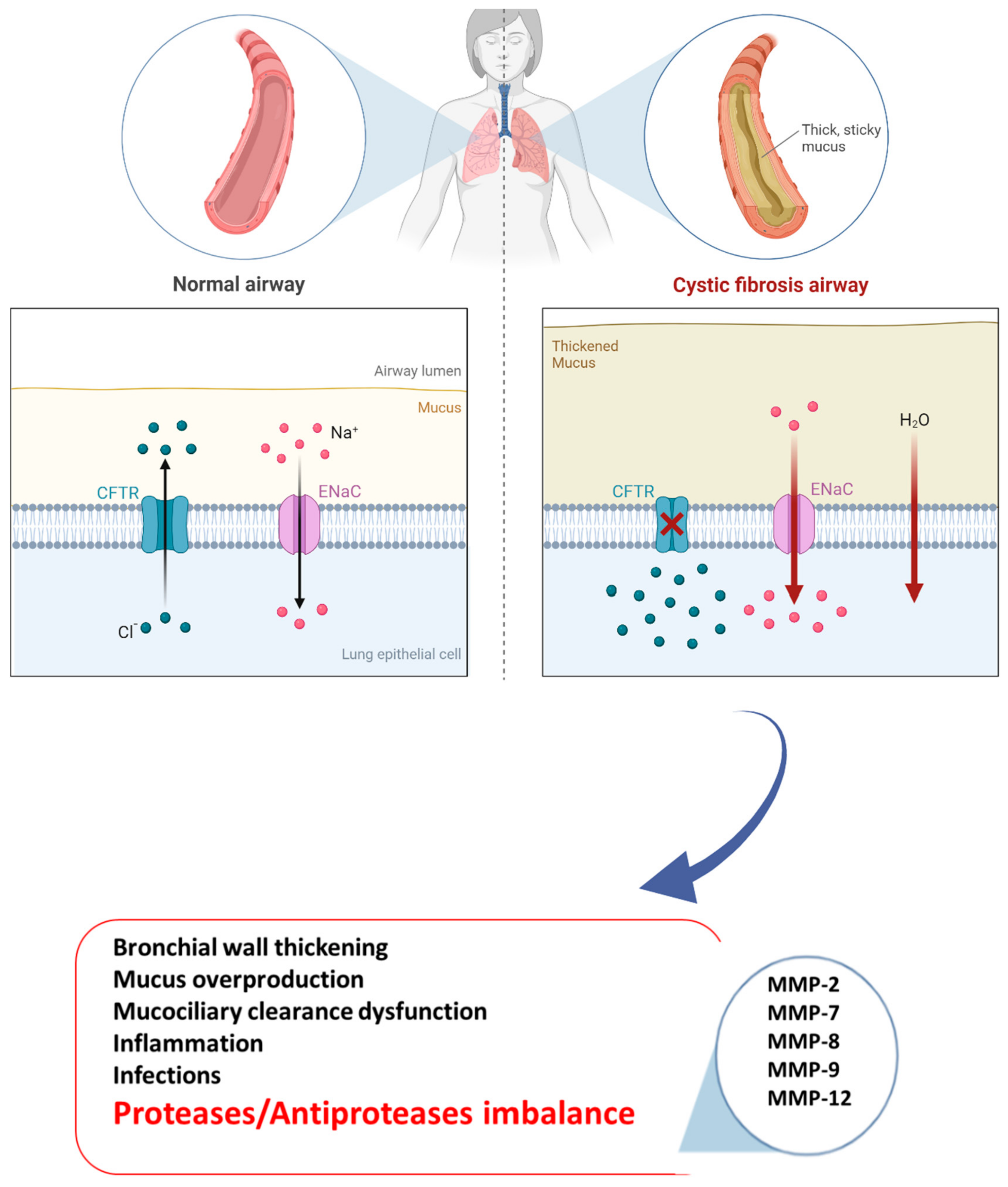 Biomolecules 13 00350 g001 Biomolecules 13 00350 g001
