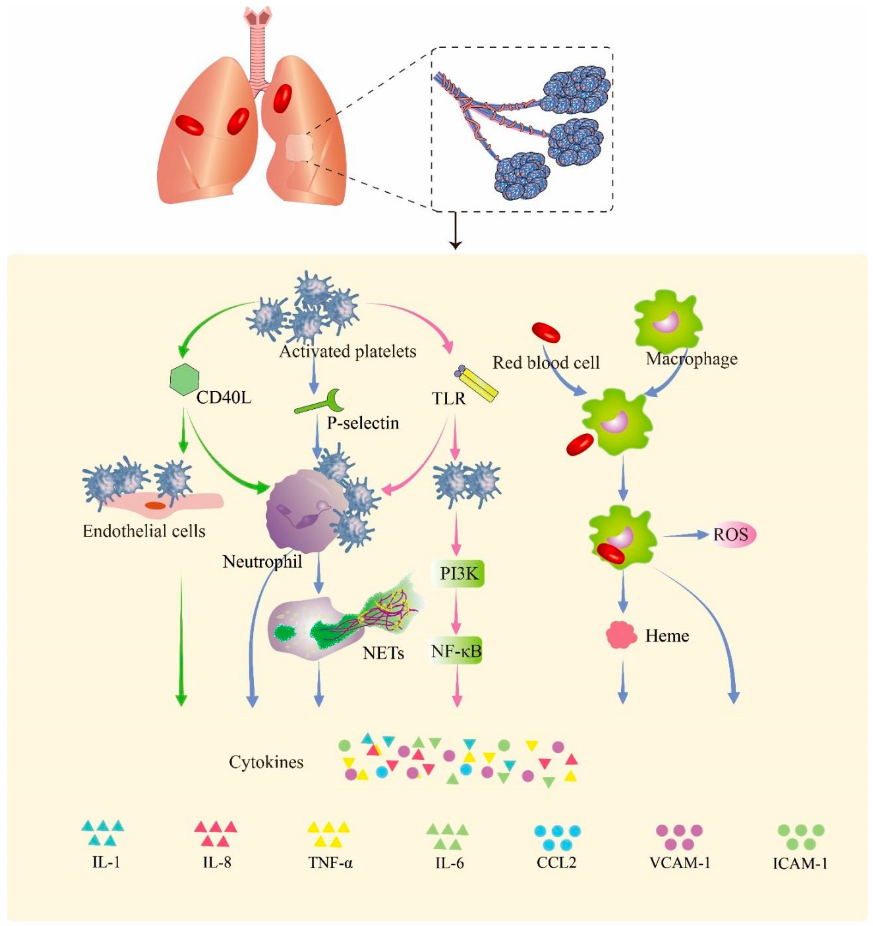 Biomolecules 13 00351 g002