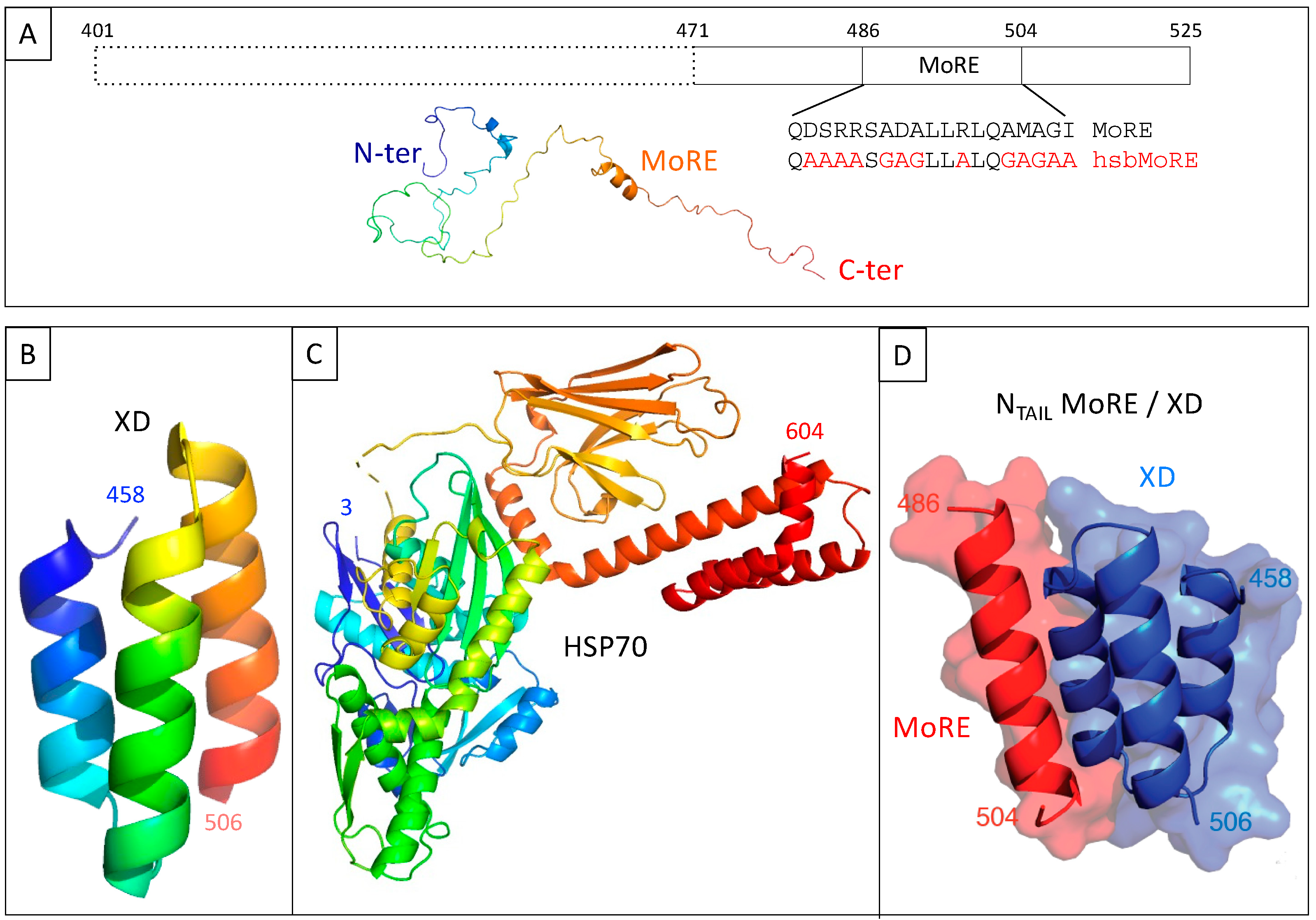 Biomolecules 13 00354 g002