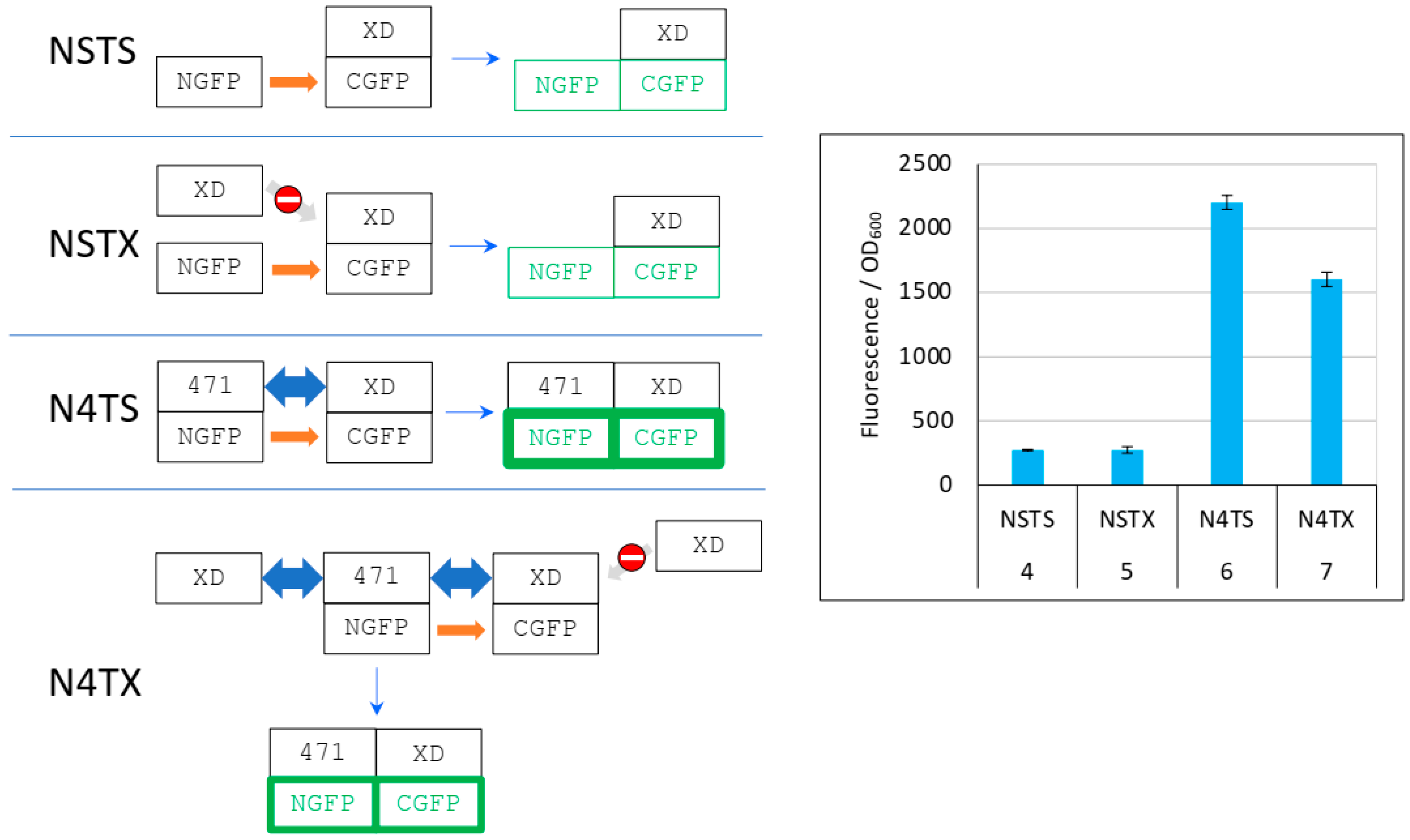 Biomolecules 13 00354 g008