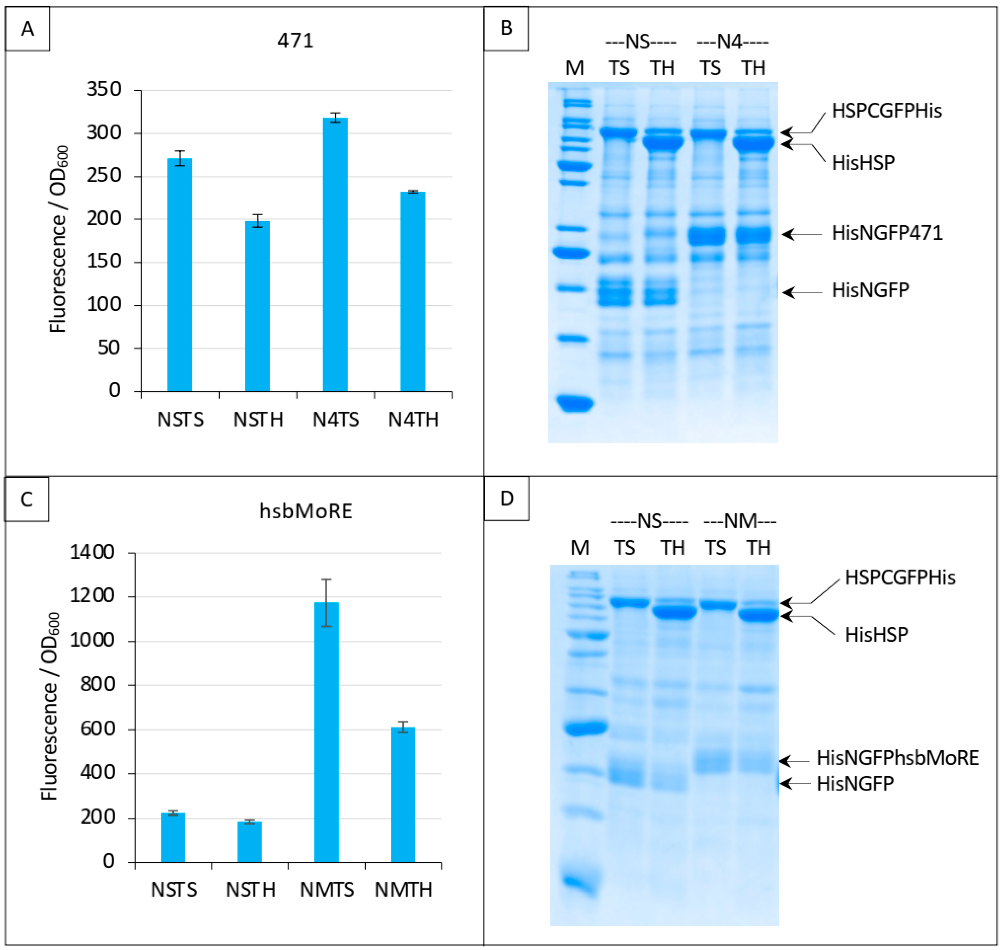 Biomolecules 13 00354 g009