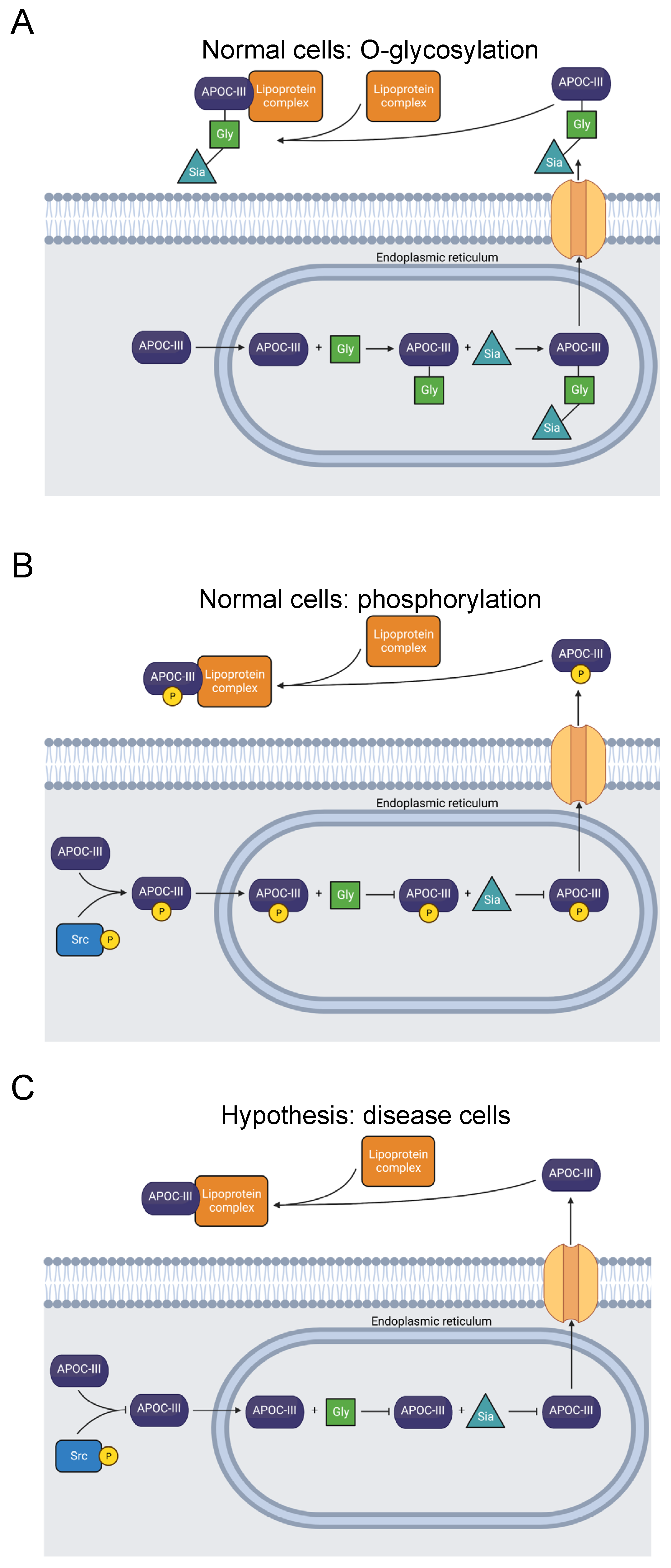 Biomolecules 13 00355 g003 Biomolecules 13 00355 g003