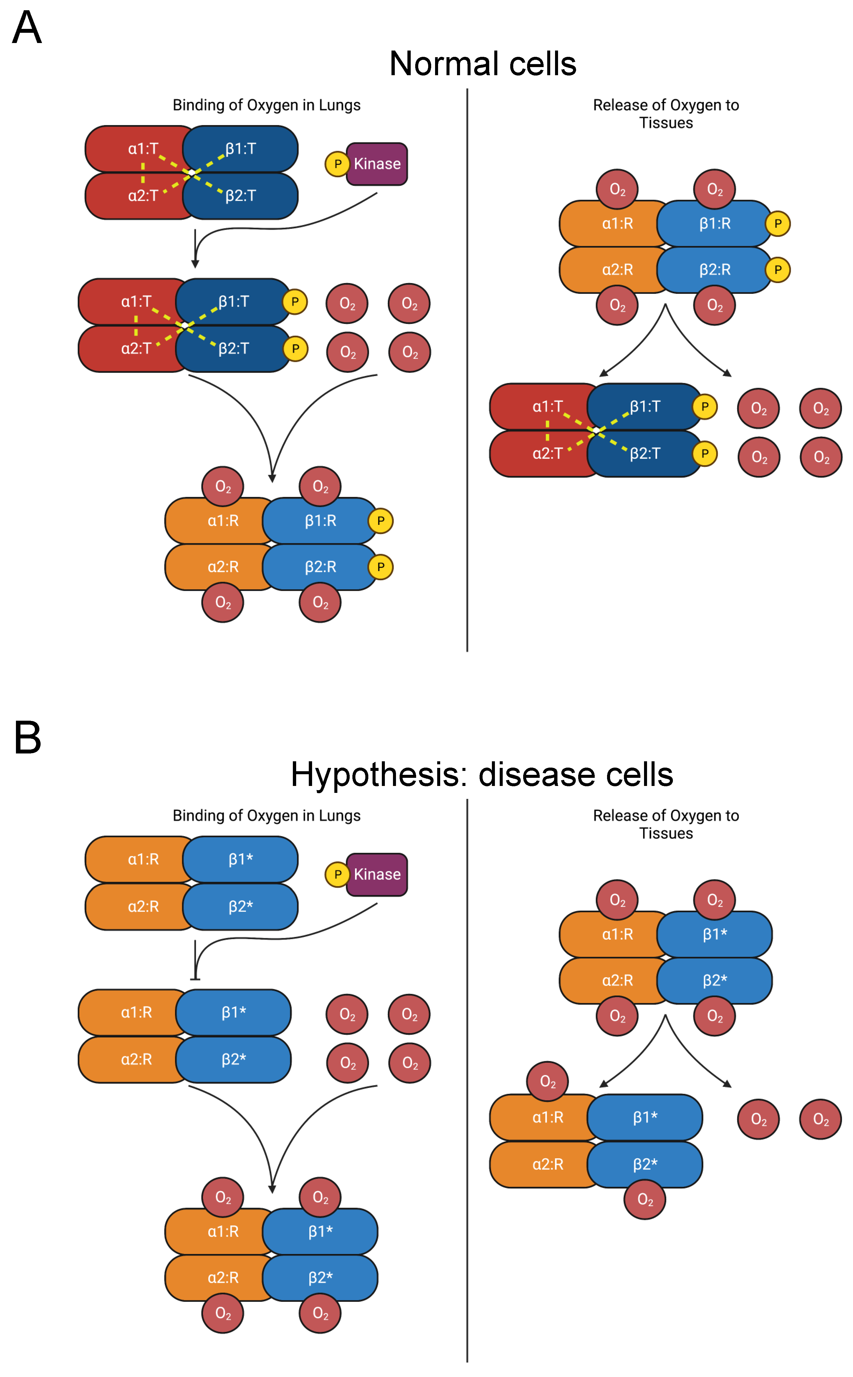 Biomolecules 13 00355 g006 Biomolecules 13 00355 g006