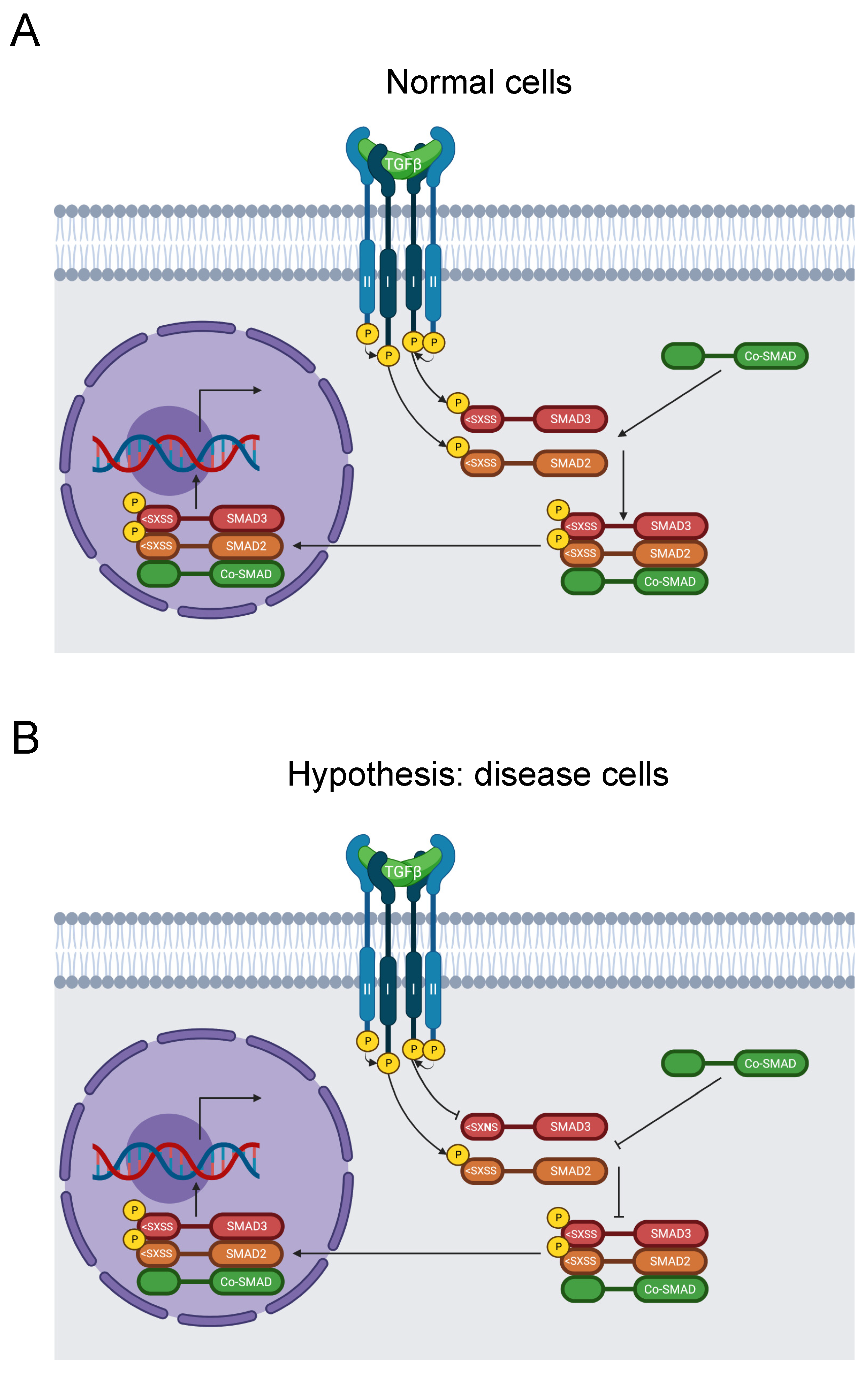 Biomolecules 13 00355 g008 Biomolecules 13 00355 g008