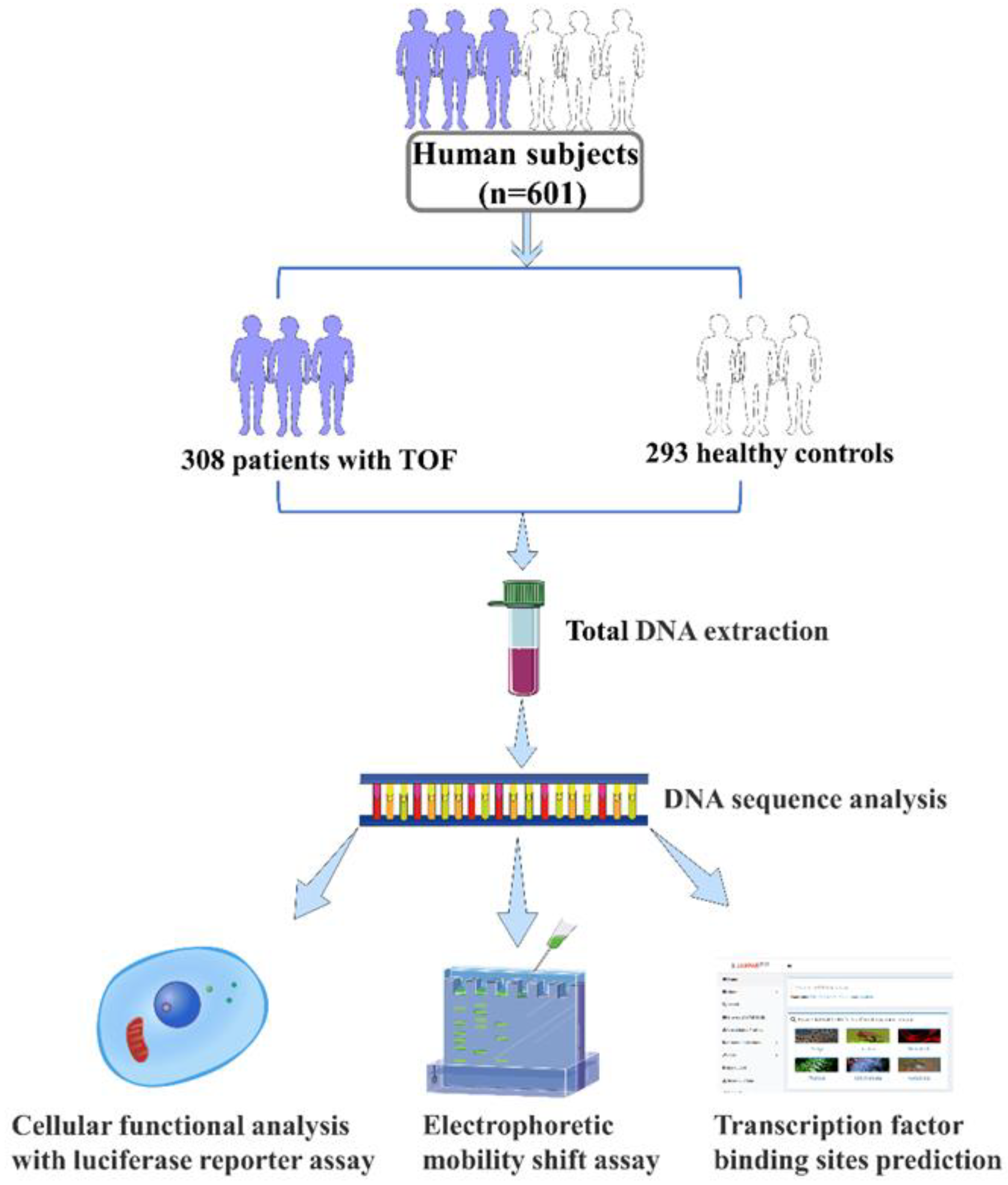 Biomolecules 13 00358 g001 Biomolecules 13 00358 g001