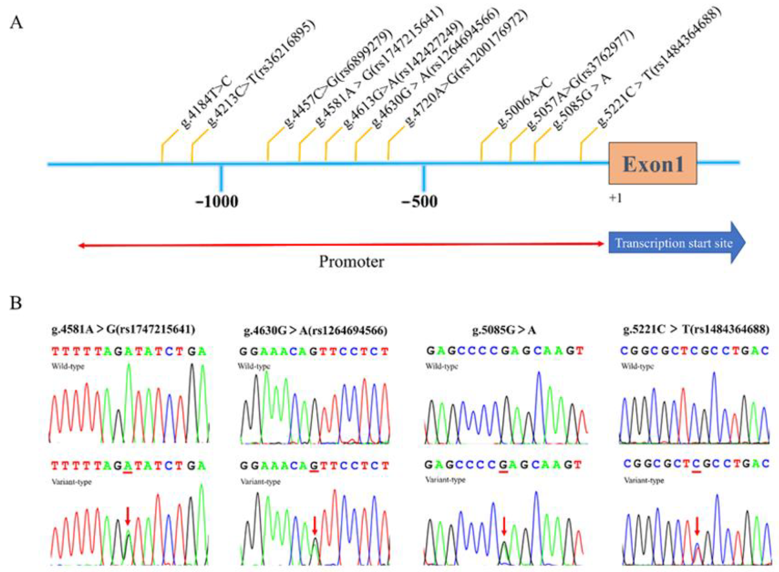 Biomolecules 13 00358 g002 Biomolecules 13 00358 g002