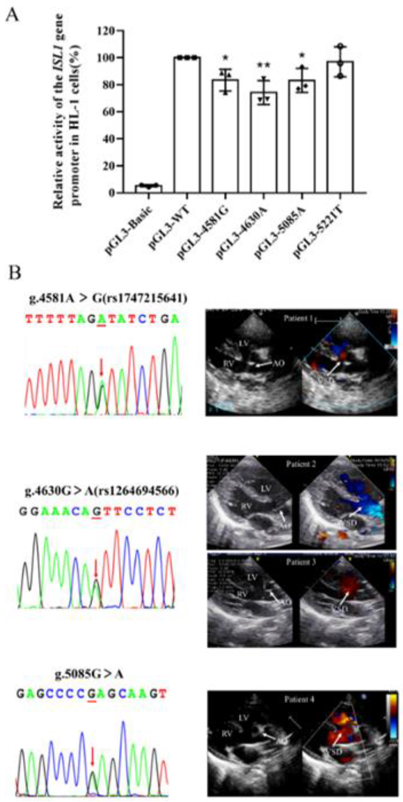 Biomolecules 13 00358 g003 Biomolecules 13 00358 g003