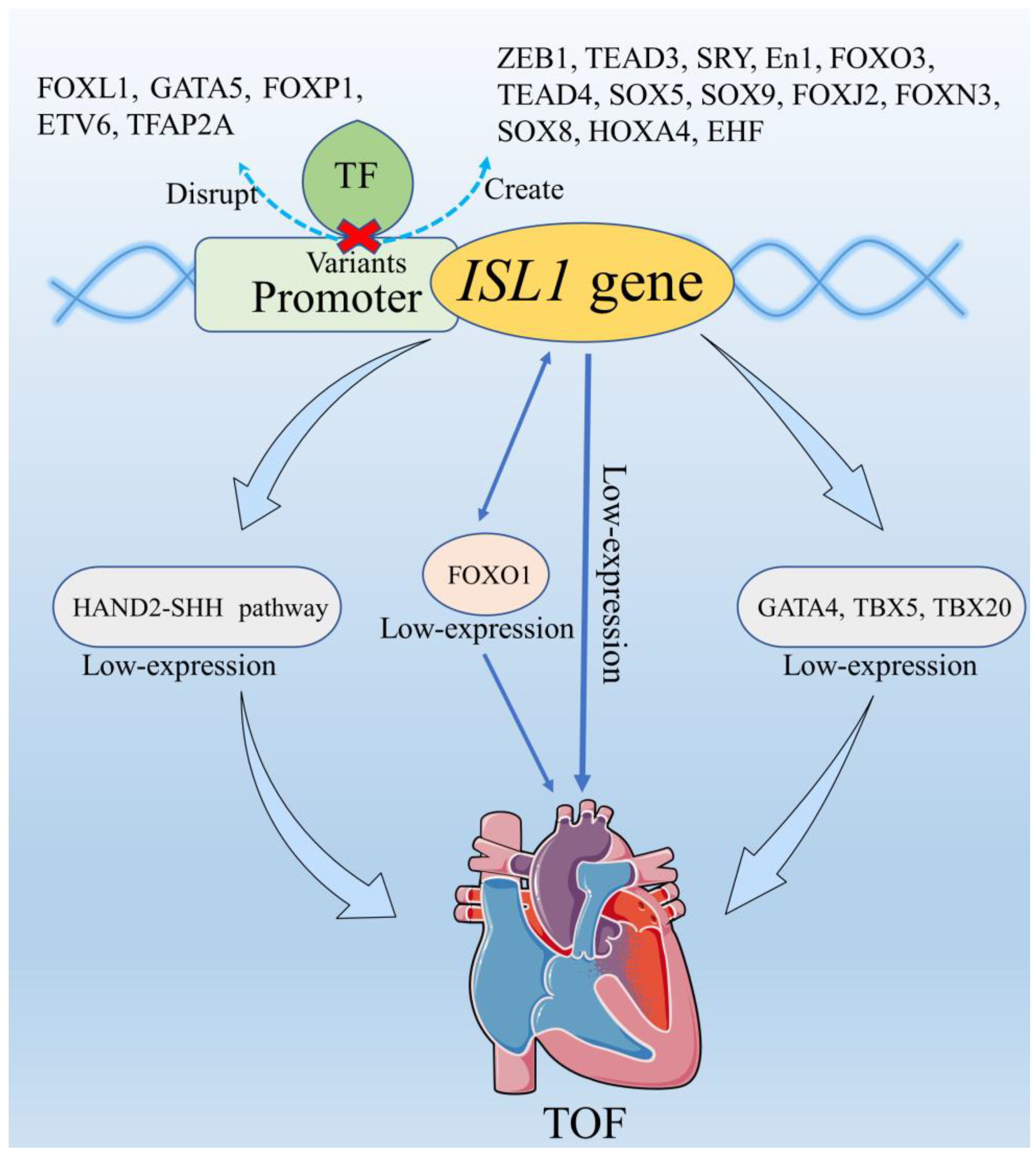 Biomolecules 13 00358 g005 Biomolecules 13 00358 g005