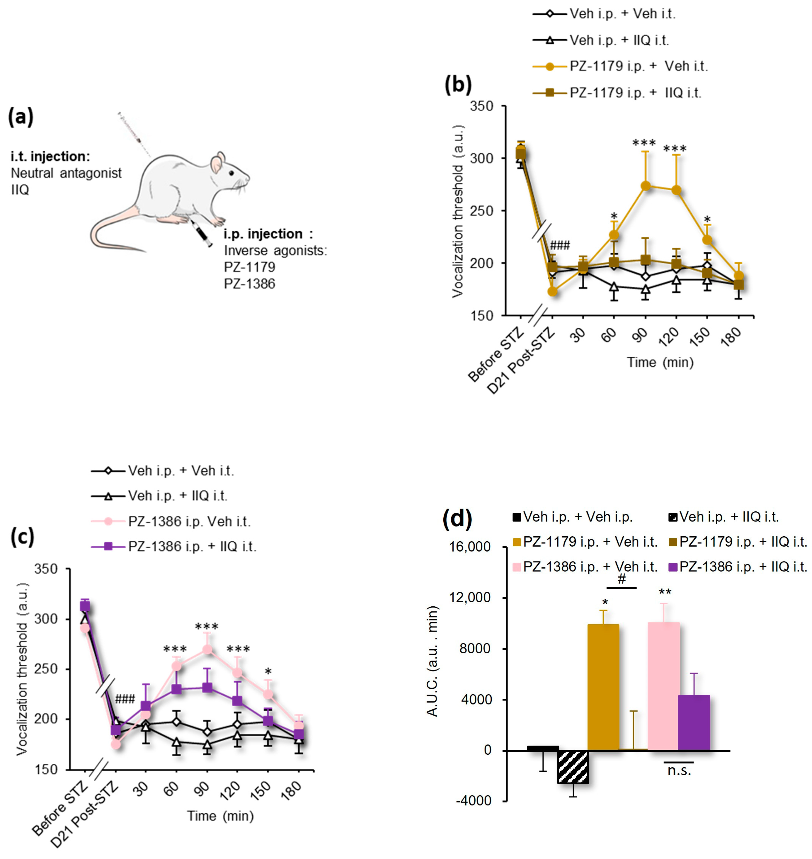 Biomolecules 13 00364 g002 Biomolecules 13 00364 g002