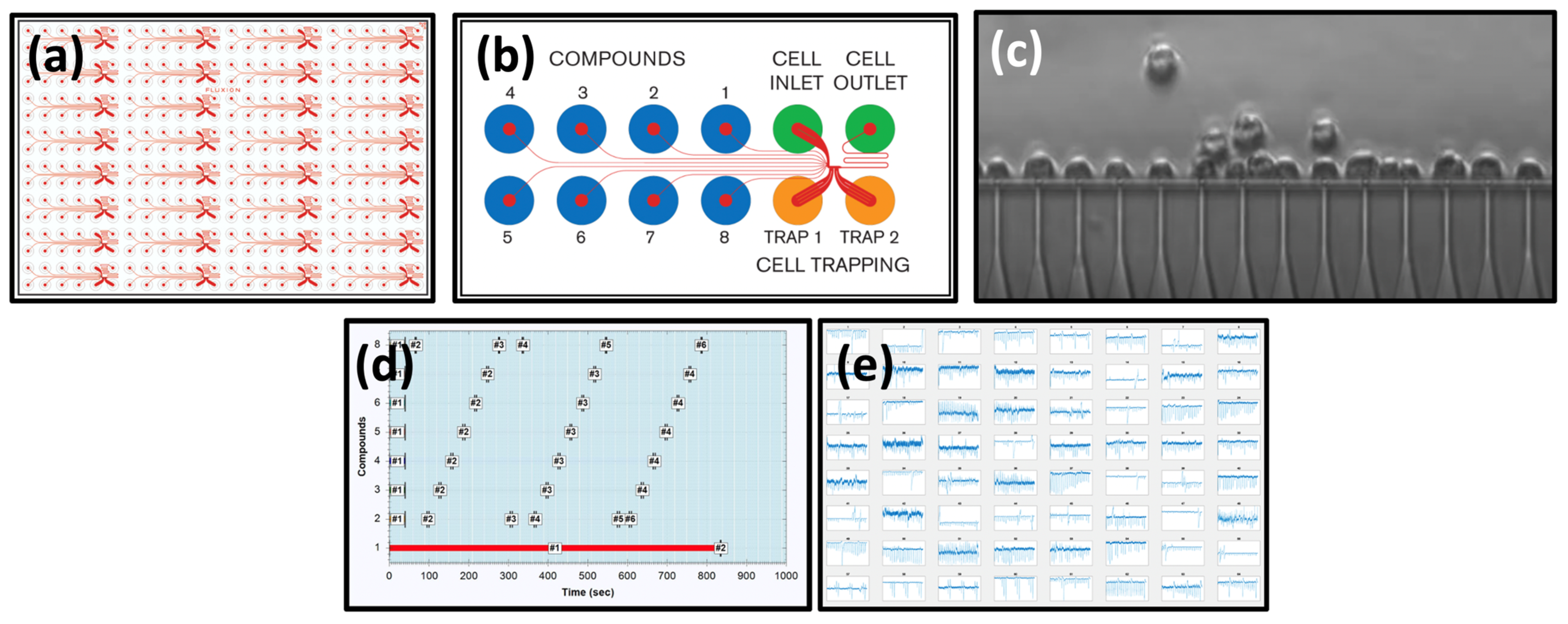 Biomolecules 13 00365 g001 Biomolecules 13 00365 g001