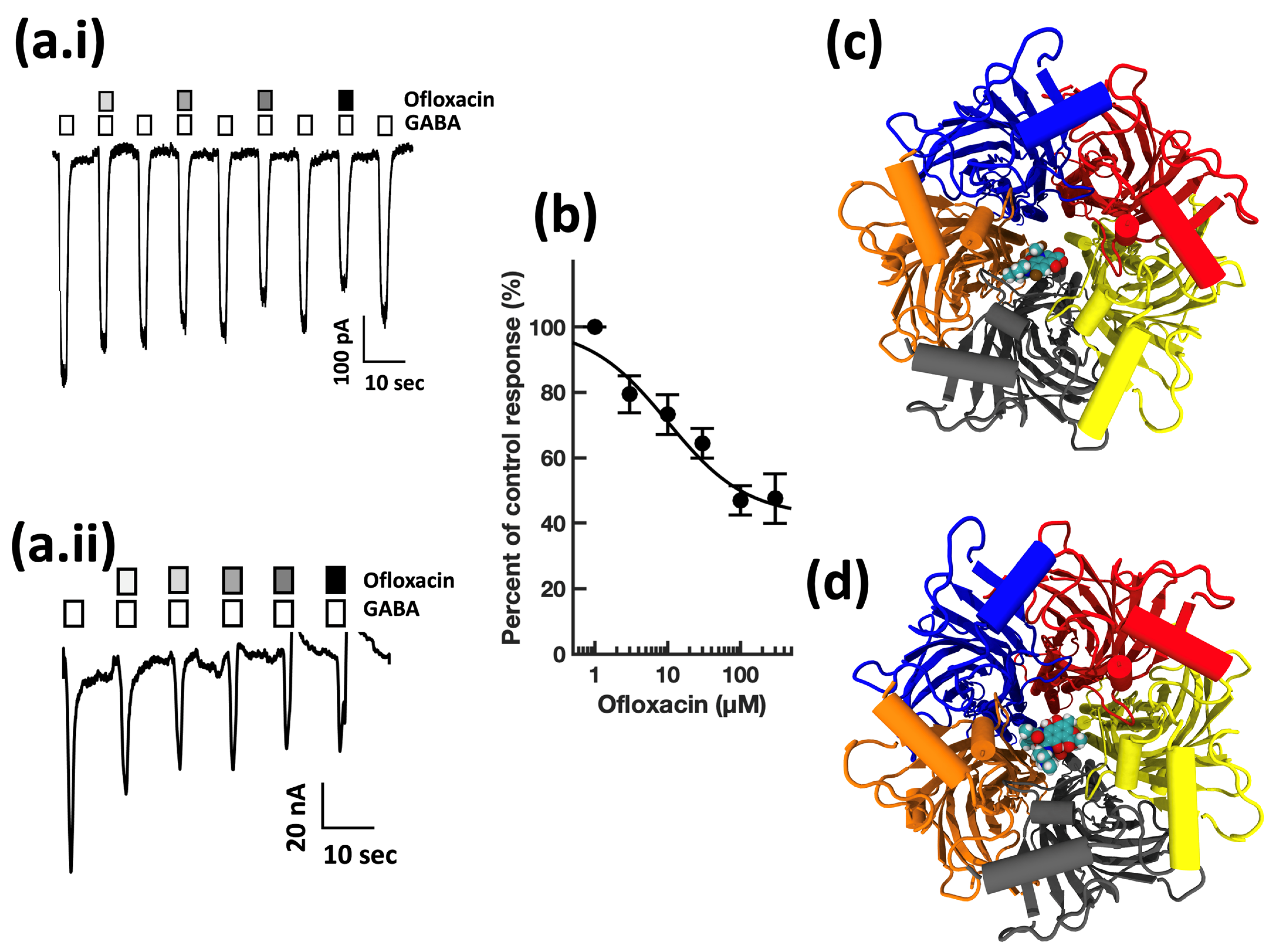 Biomolecules 13 00365 g005 Biomolecules 13 00365 g005