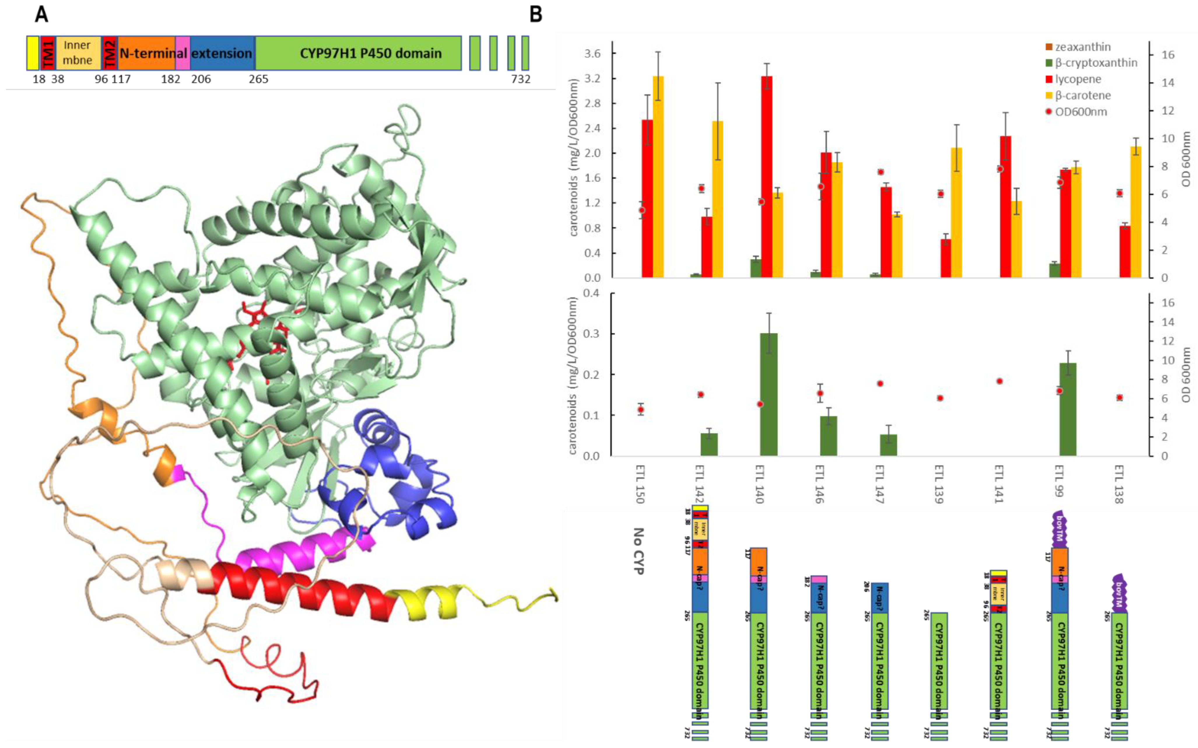 Biomolecules 13 00366 g004 Biomolecules 13 00366 g004