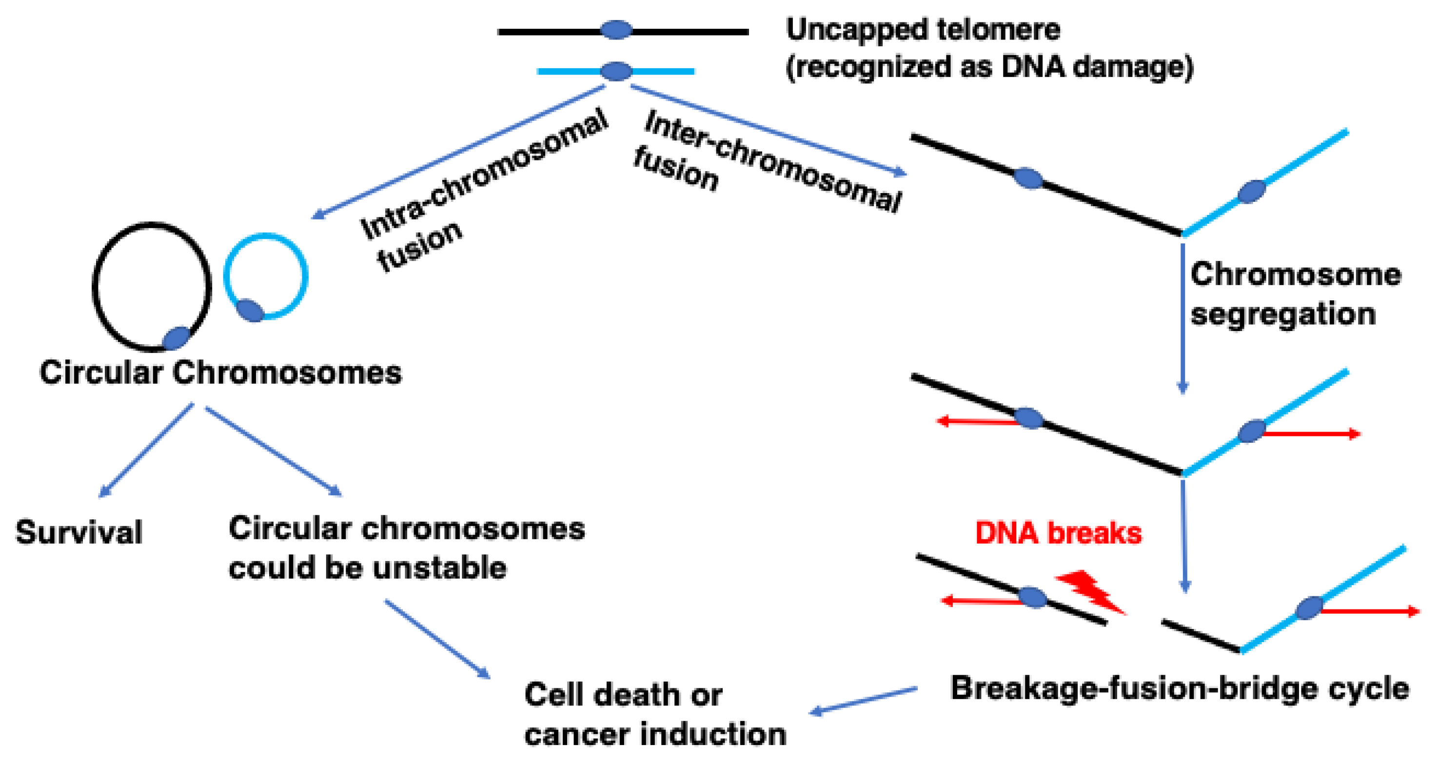 Biomolecules 13 00370 g001 Biomolecules 13 00370 g001