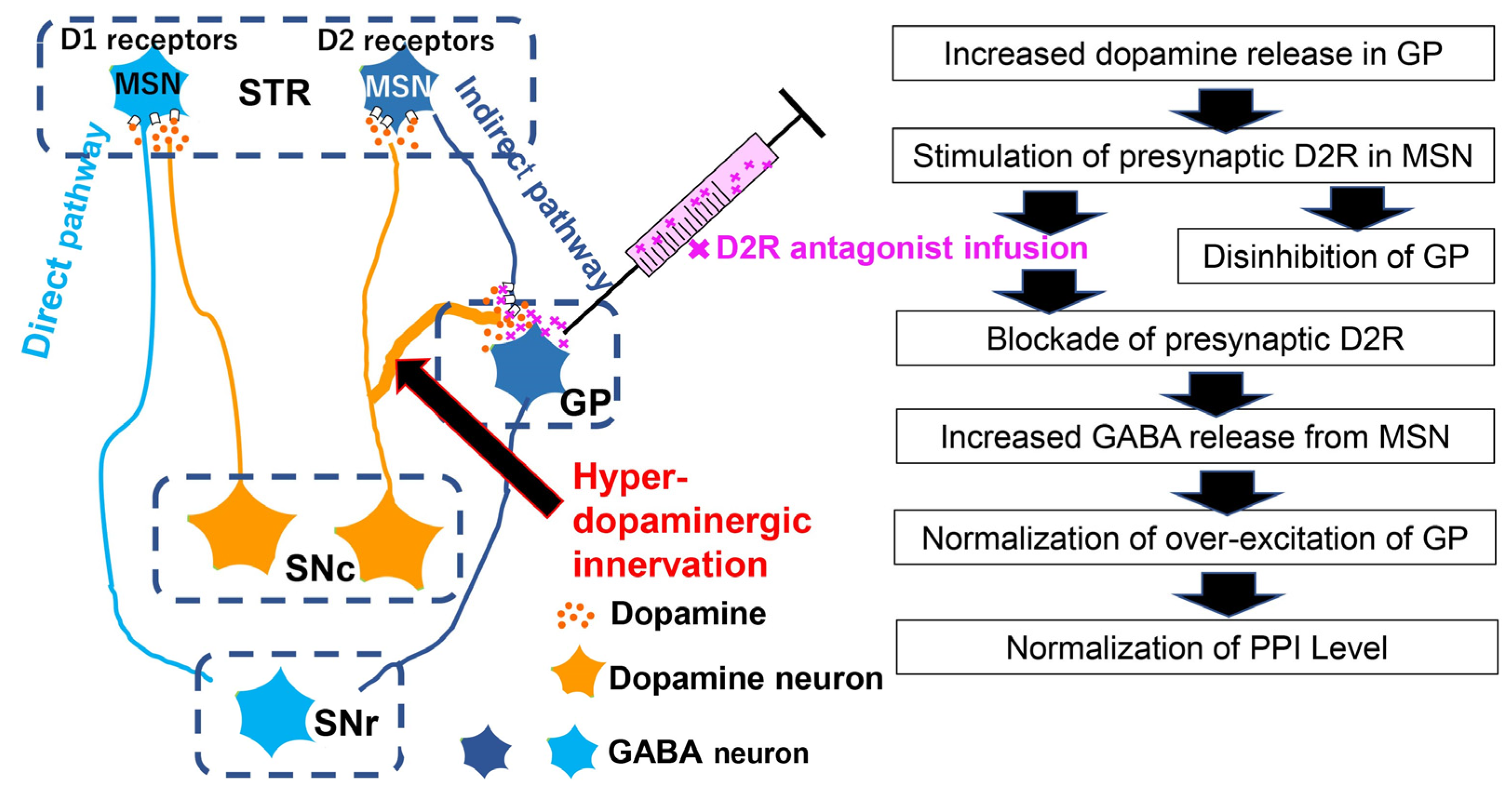 Biomolecules 13 00372 g004