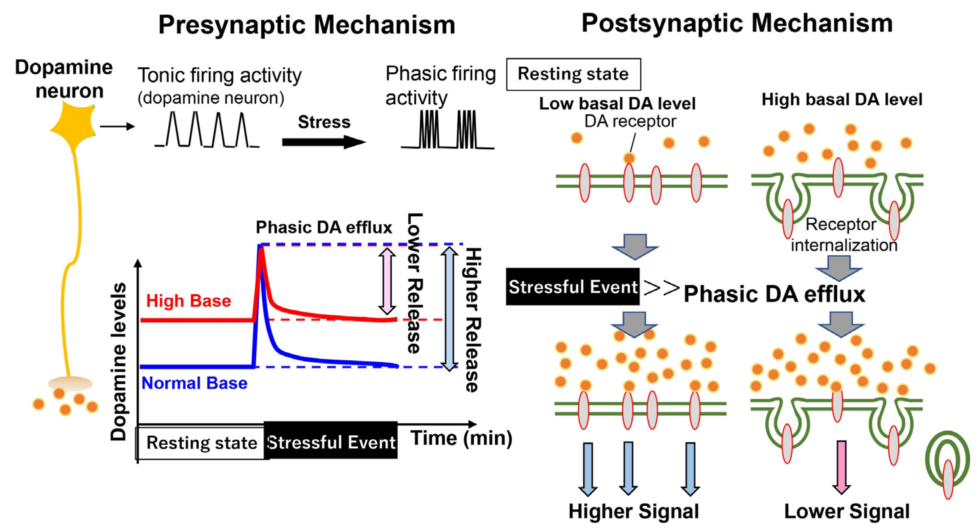Biomolecules 13 00372 g005