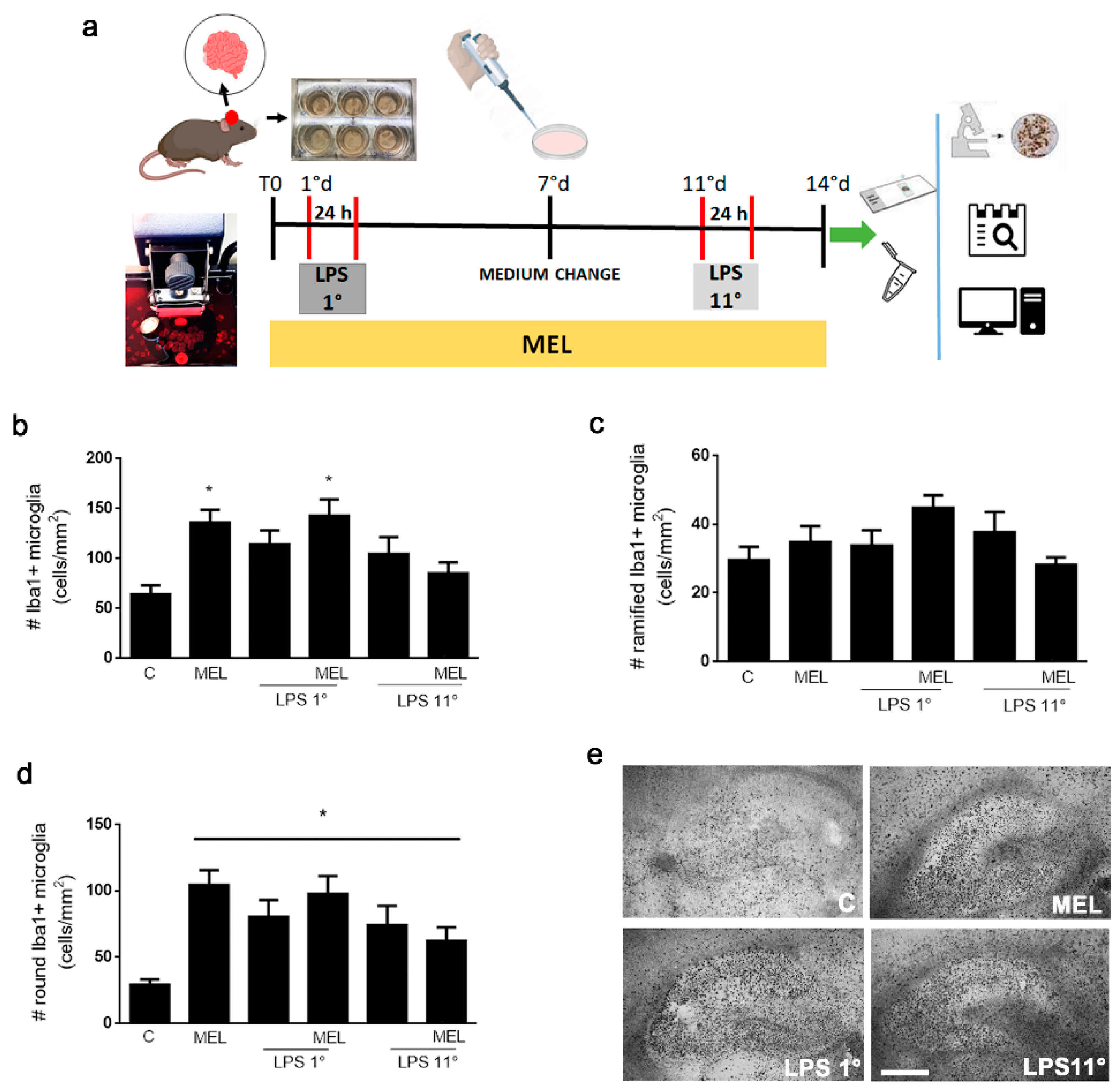 Biomolecules 13 00373 g003