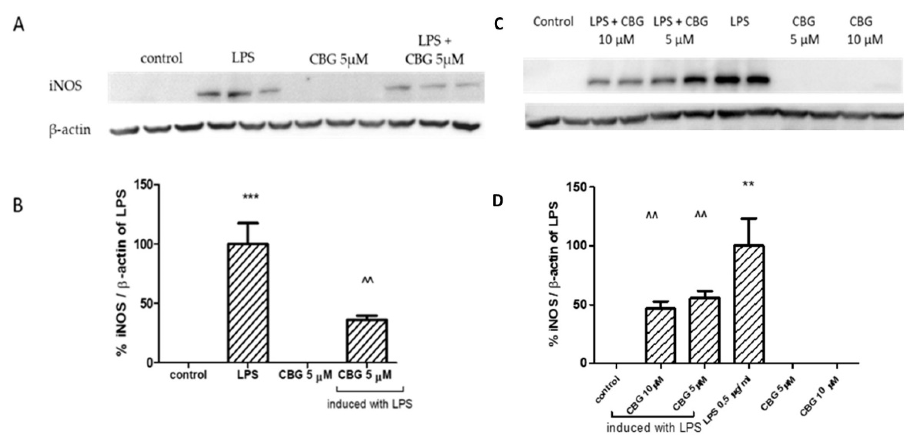 Biomolecules 13 00376 g004 Biomolecules 13 00376 g004