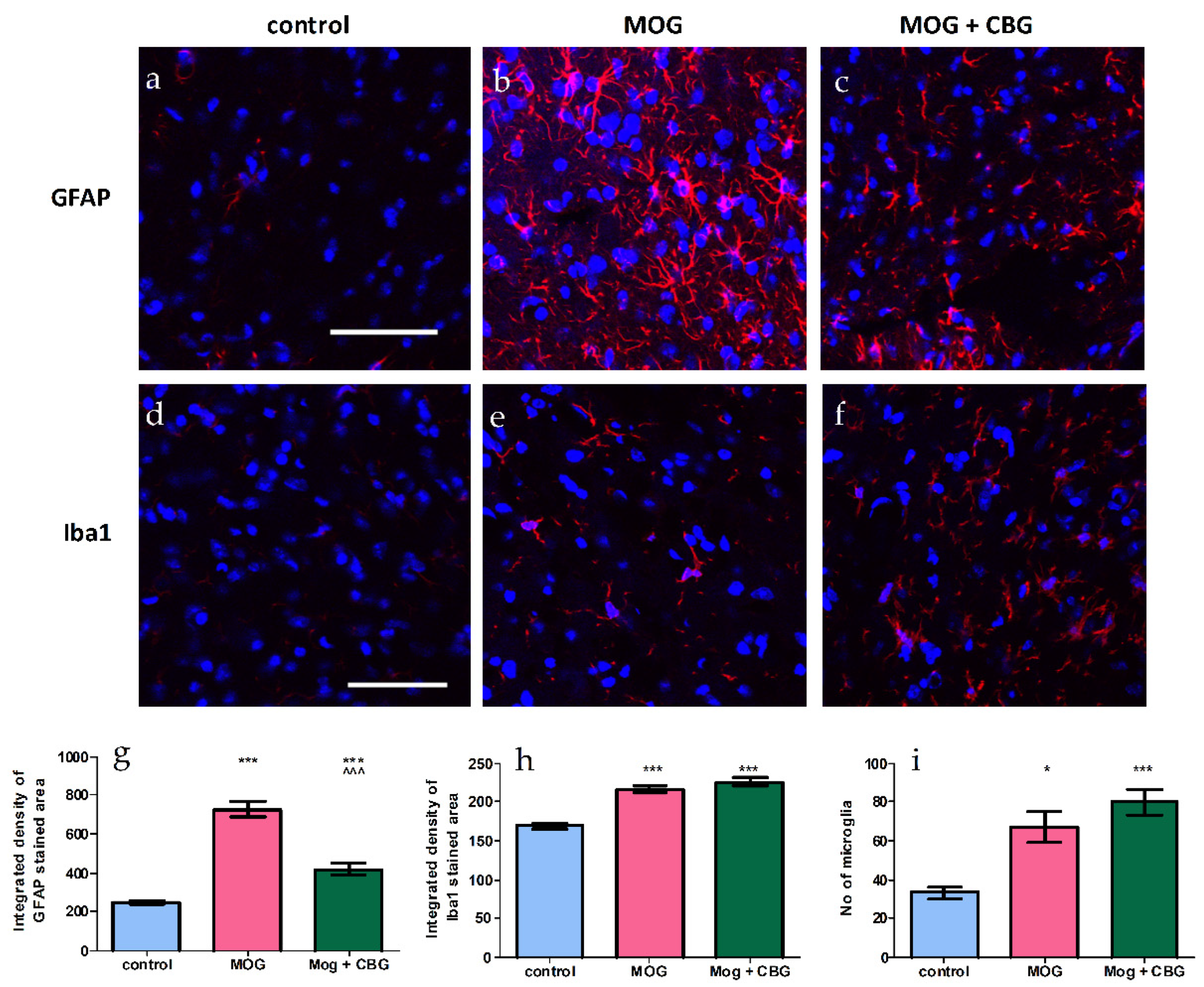 Biomolecules 13 00376 g006 Biomolecules 13 00376 g006