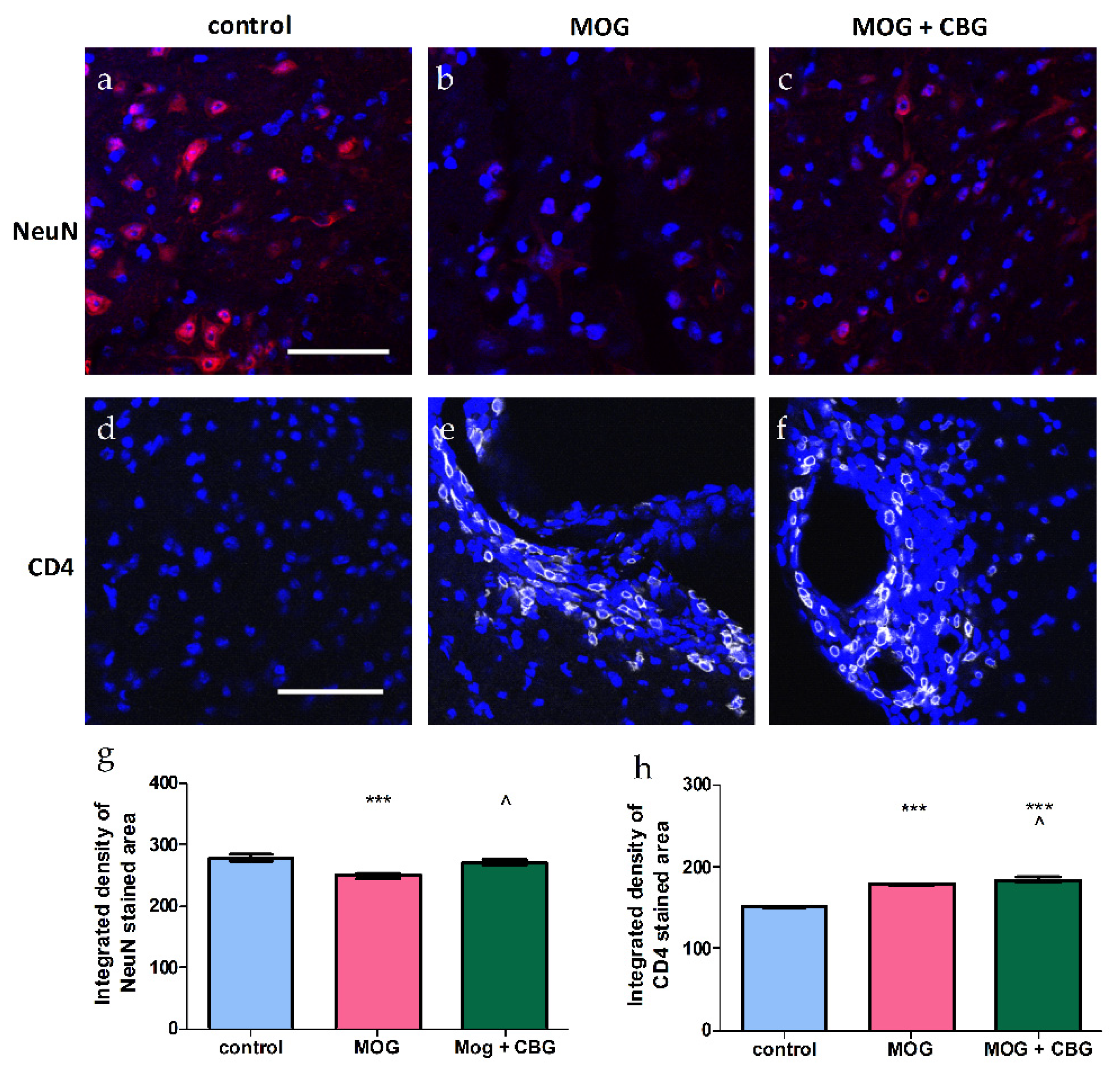 Biomolecules 13 00376 g007 Biomolecules 13 00376 g007