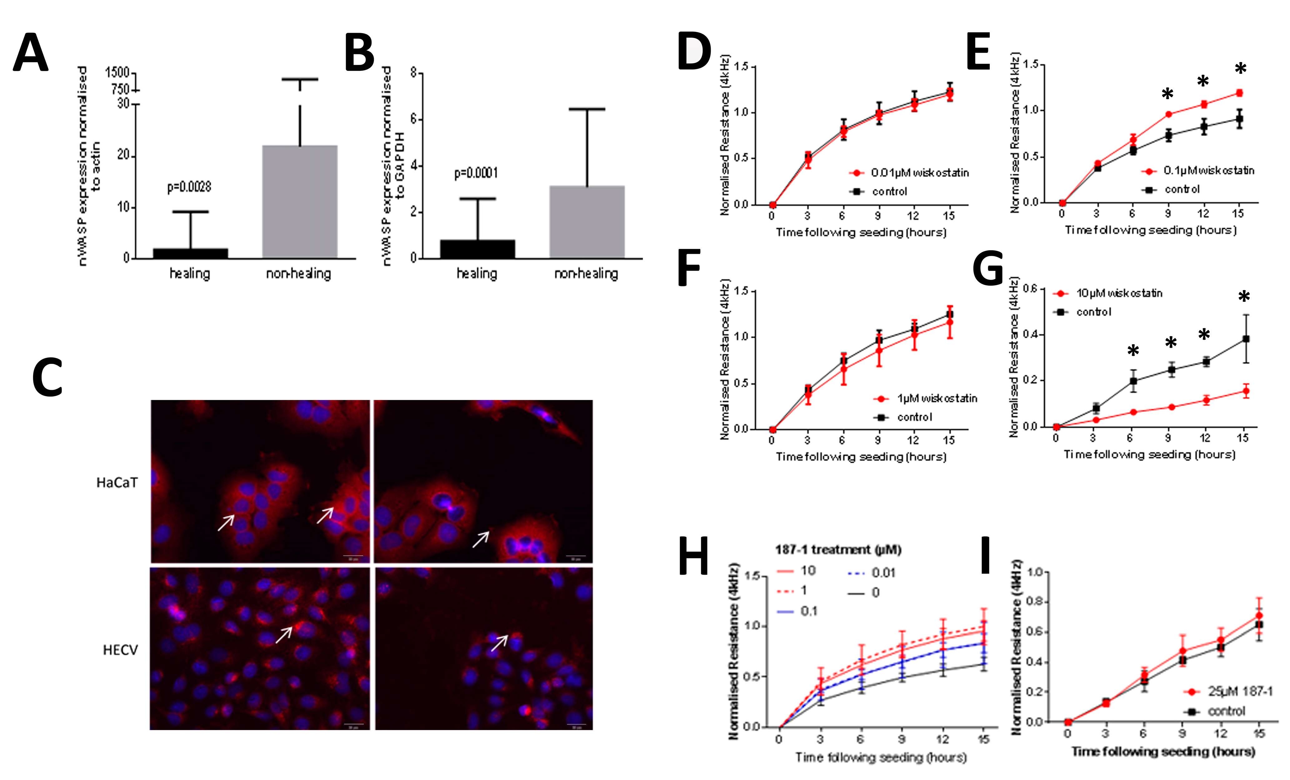 Biomolecules 13 00379 g001