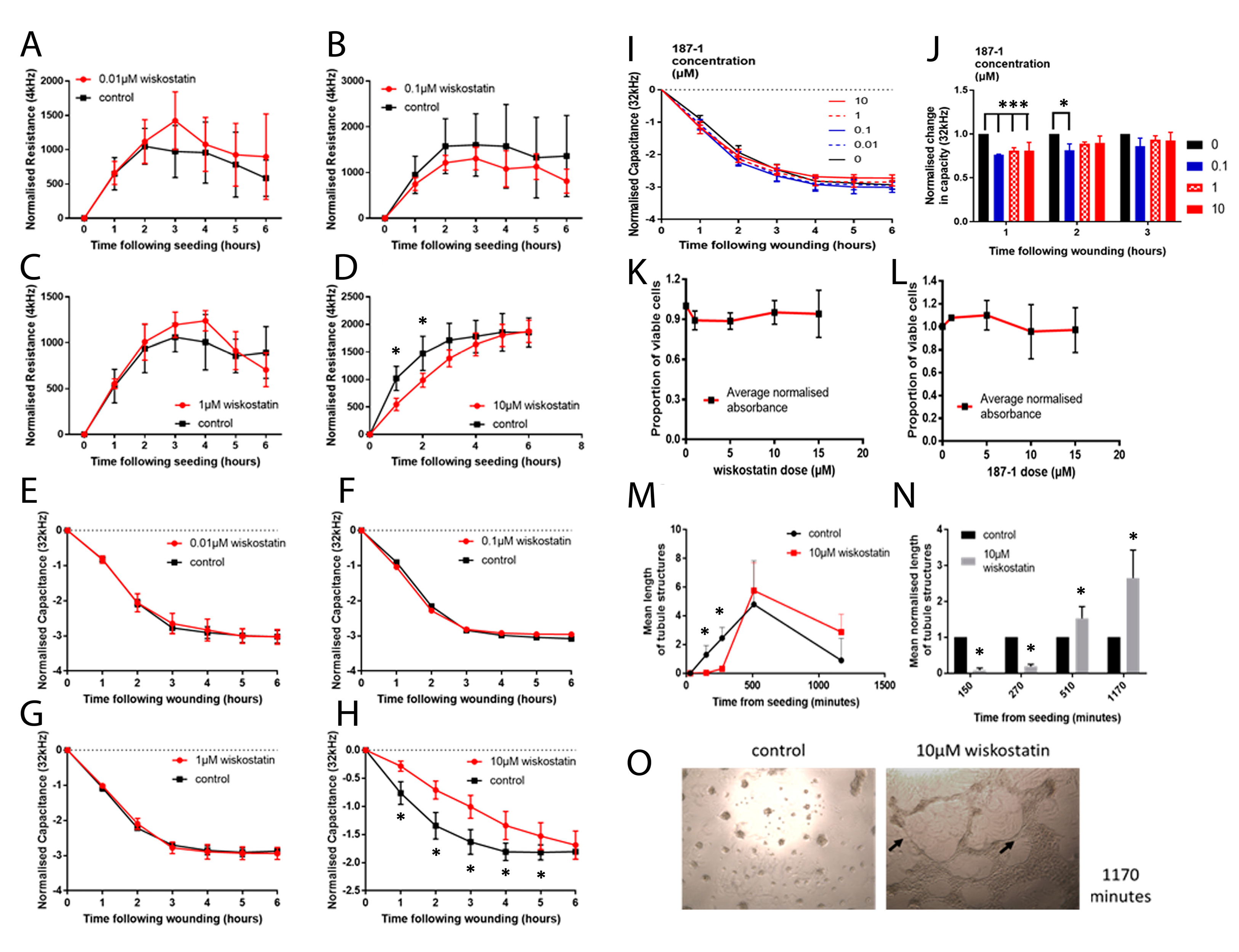 Biomolecules 13 00379 g004