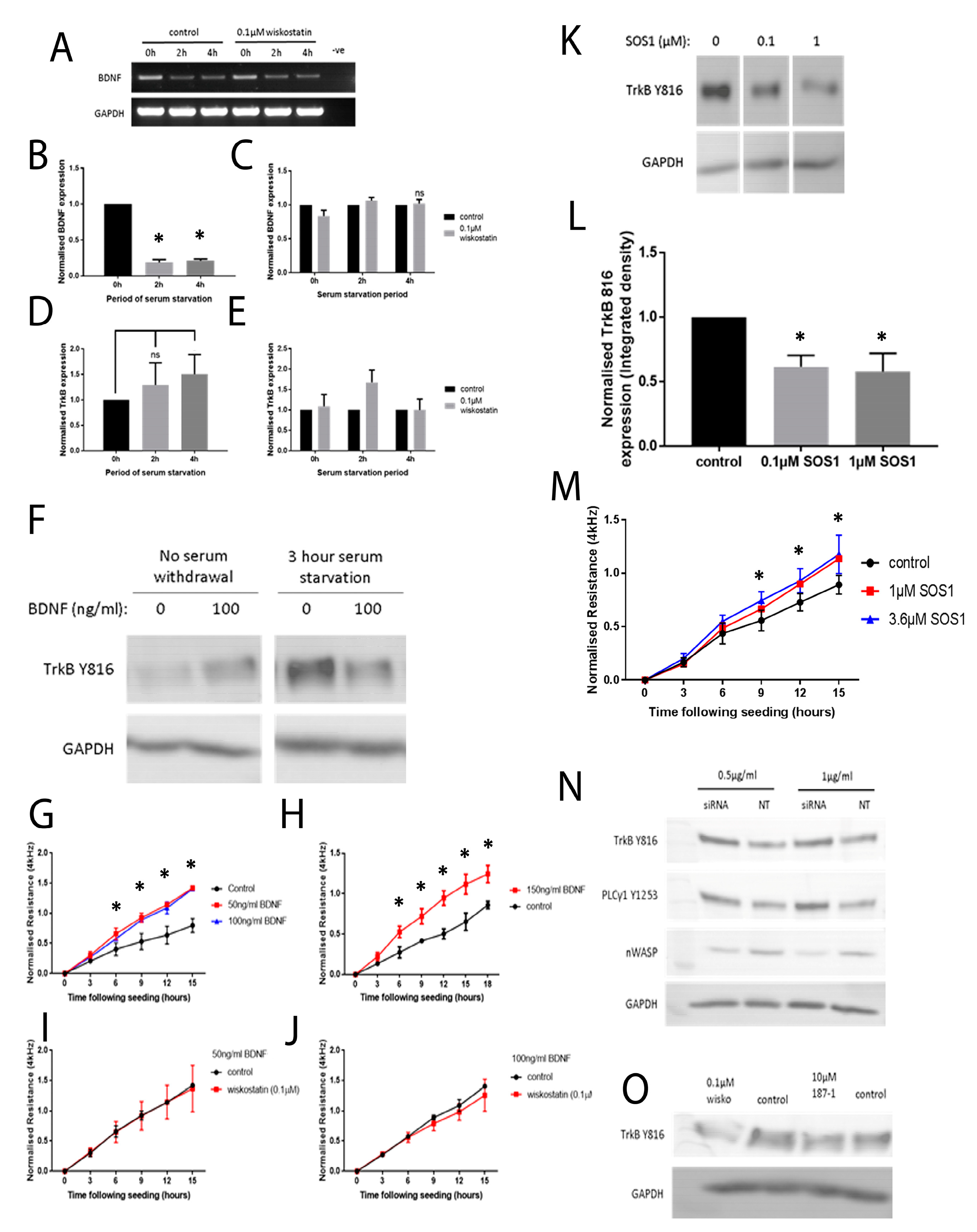 Biomolecules 13 00379 g007