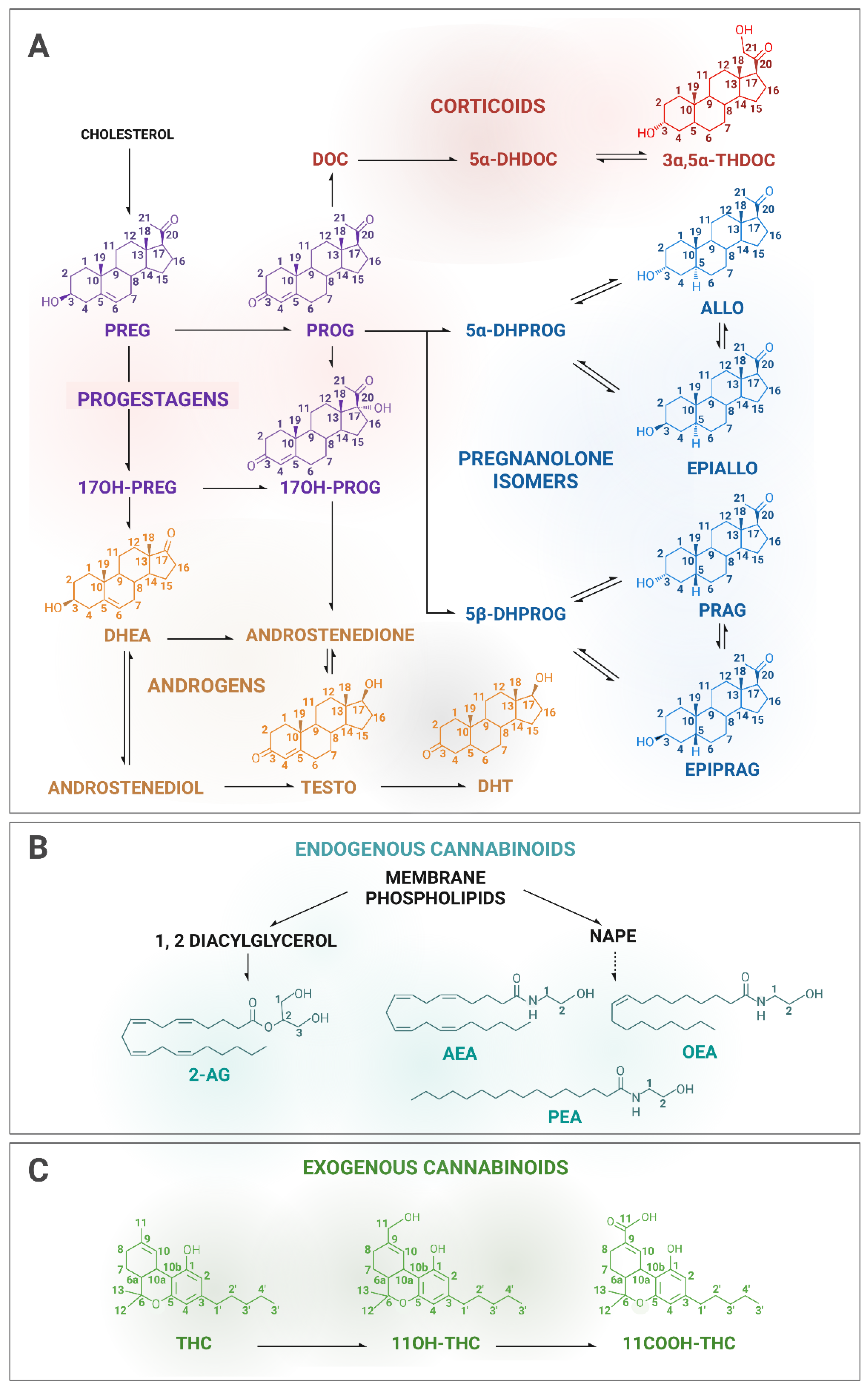 Biomolecules 13 00383 g002