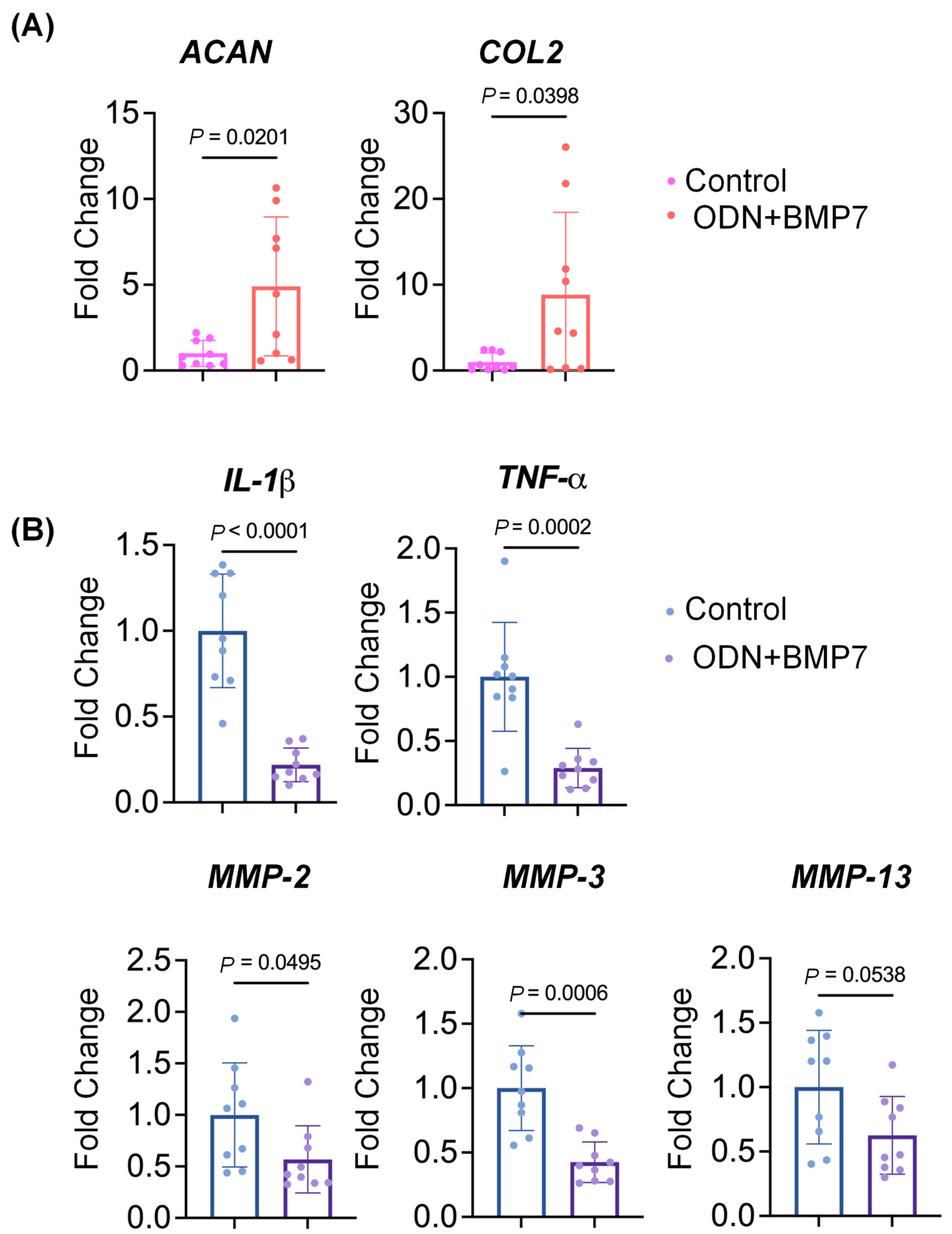 Biomolecules 13 00384 g002 Biomolecules 13 00384 g002