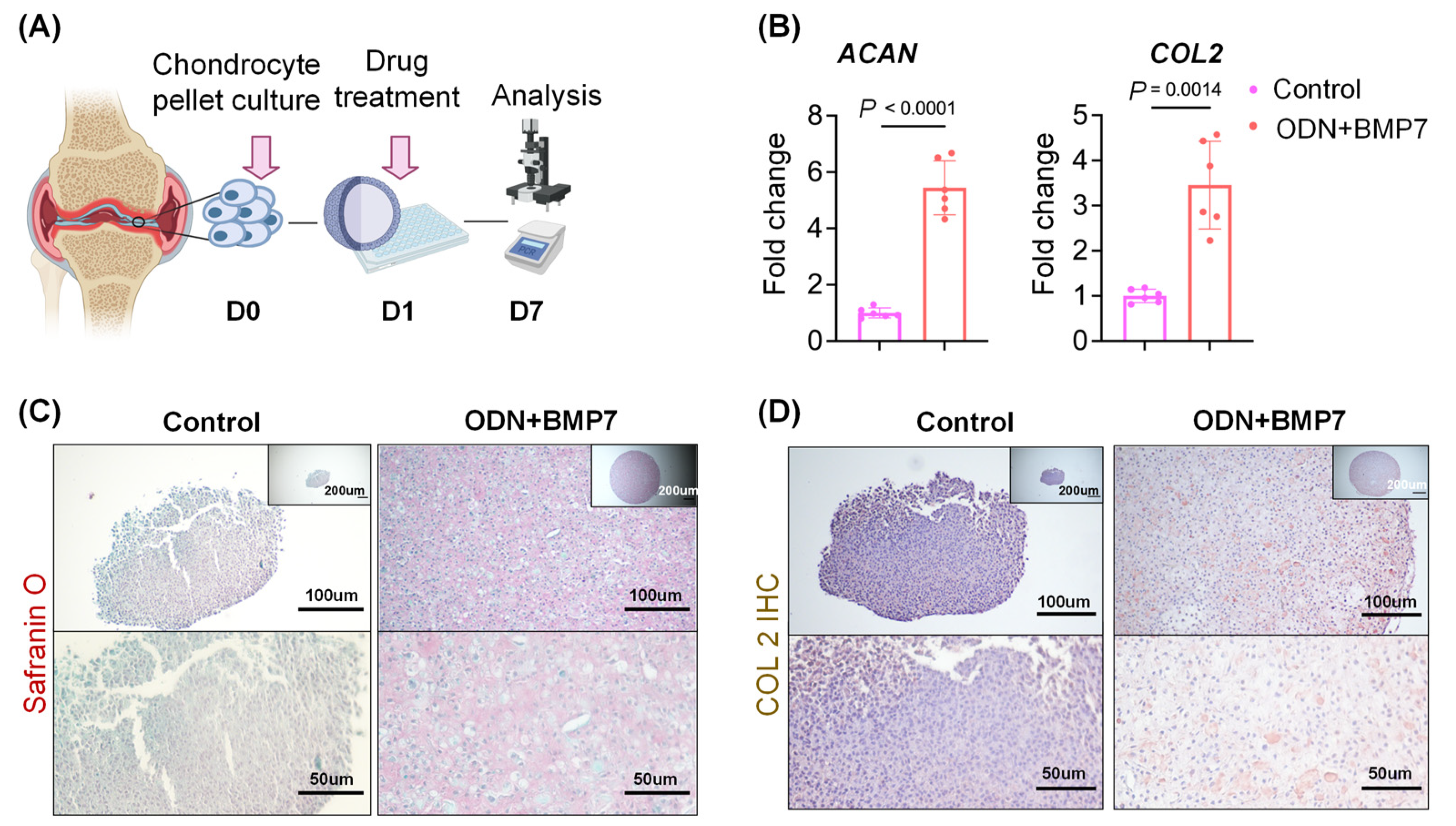 Biomolecules 13 00384 g005 Biomolecules 13 00384 g005