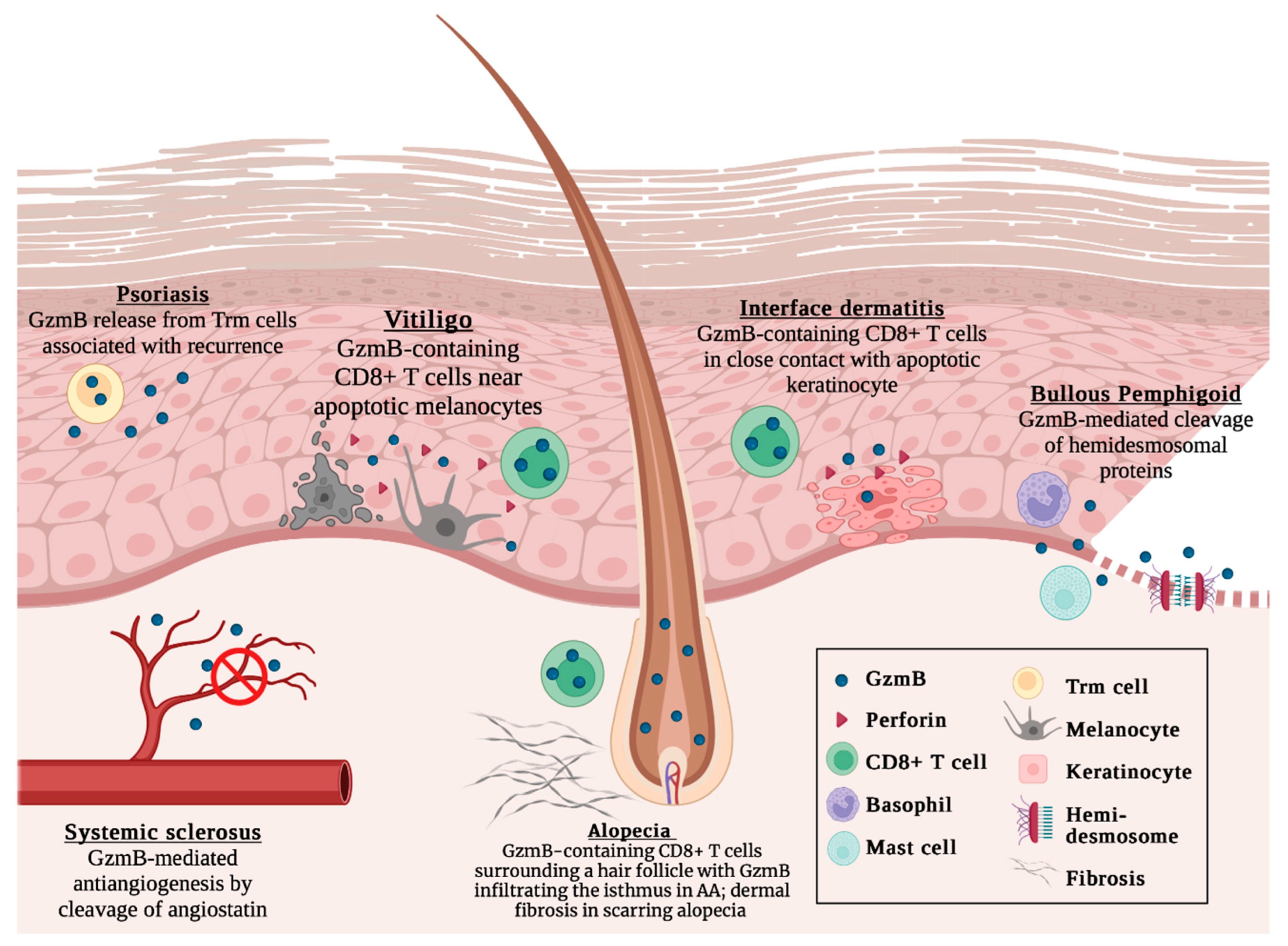 Biomolecules 13 00388 g001 Biomolecules 13 00388 g001