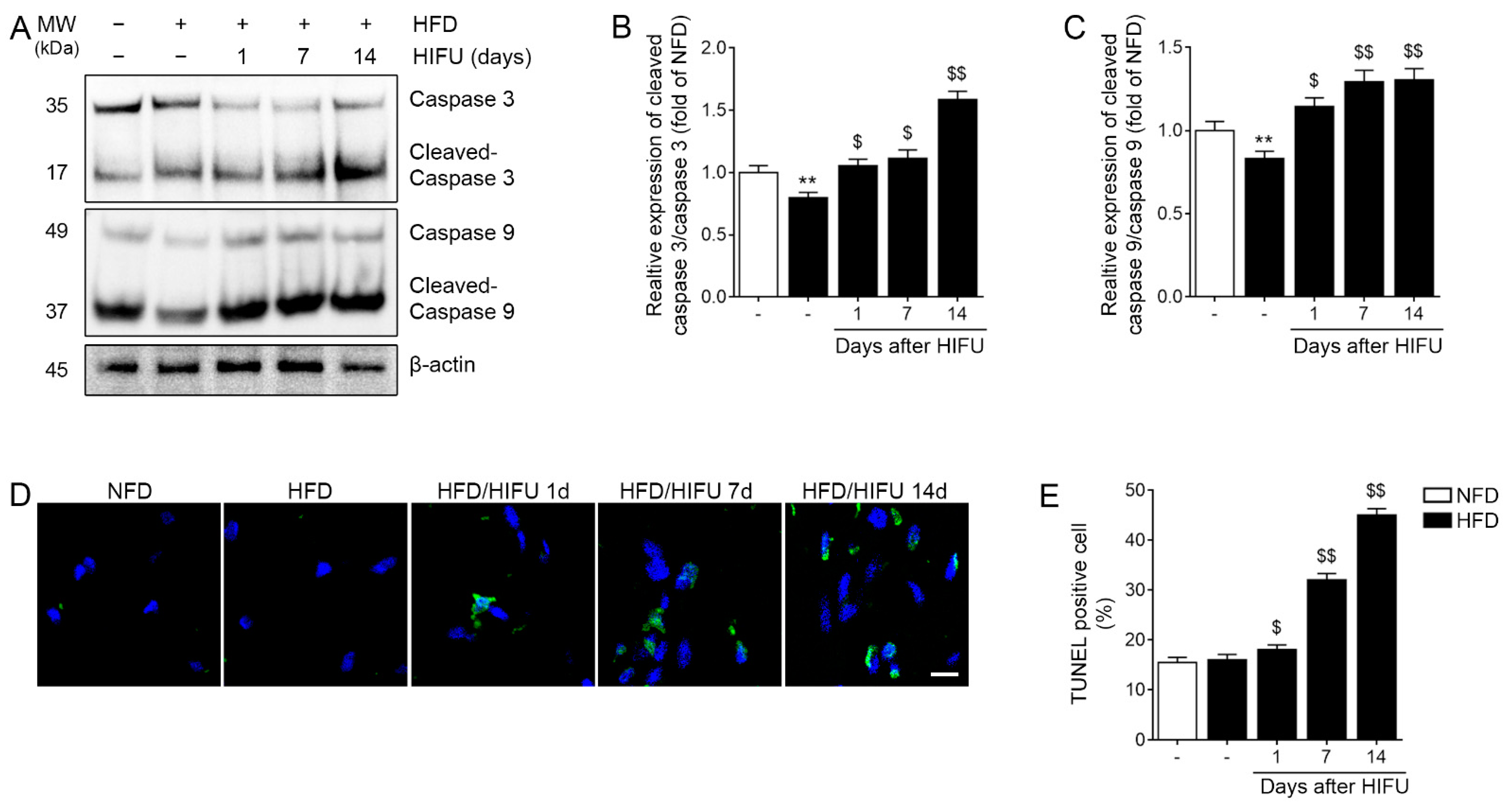 Biomolecules 13 00392 g004