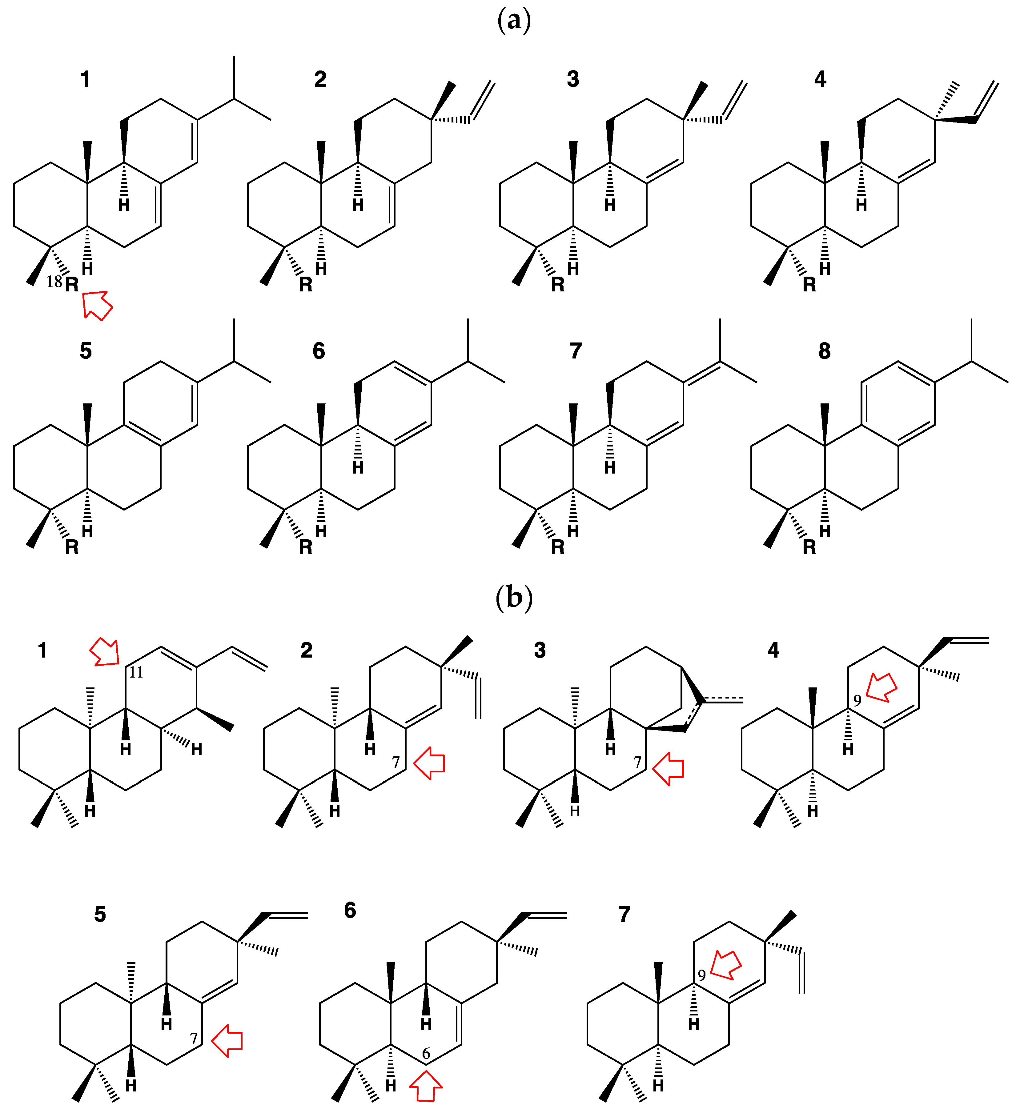 Biomolecules 13 00394 g001 Biomolecules 13 00394 g001