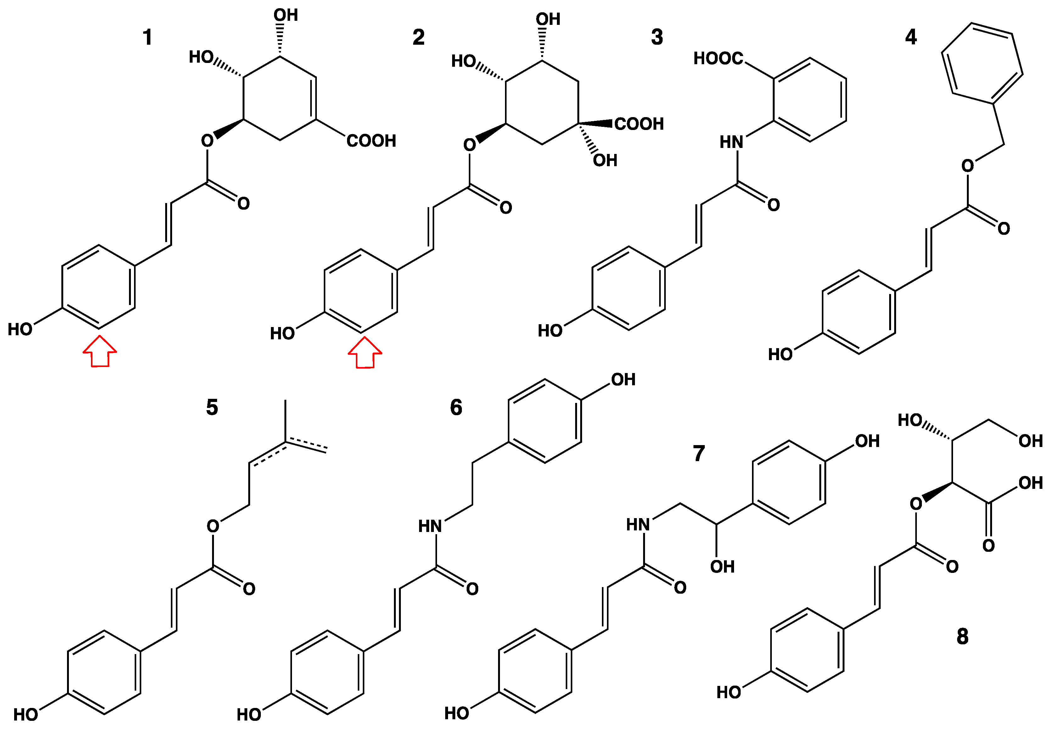 Biomolecules 13 00394 g006a Biomolecules 13 00394 g006a