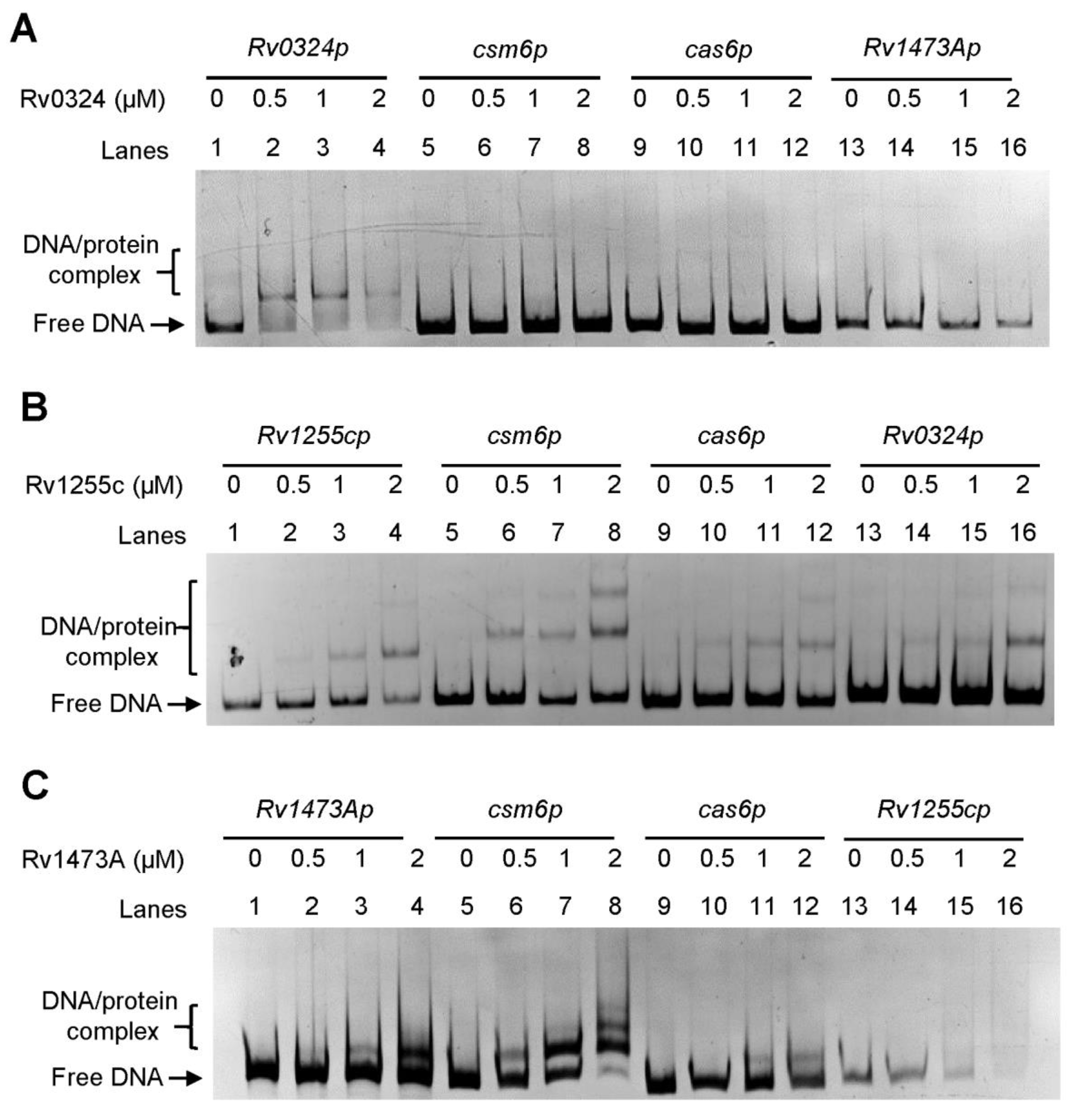 Biomolecules 13 00400 g002